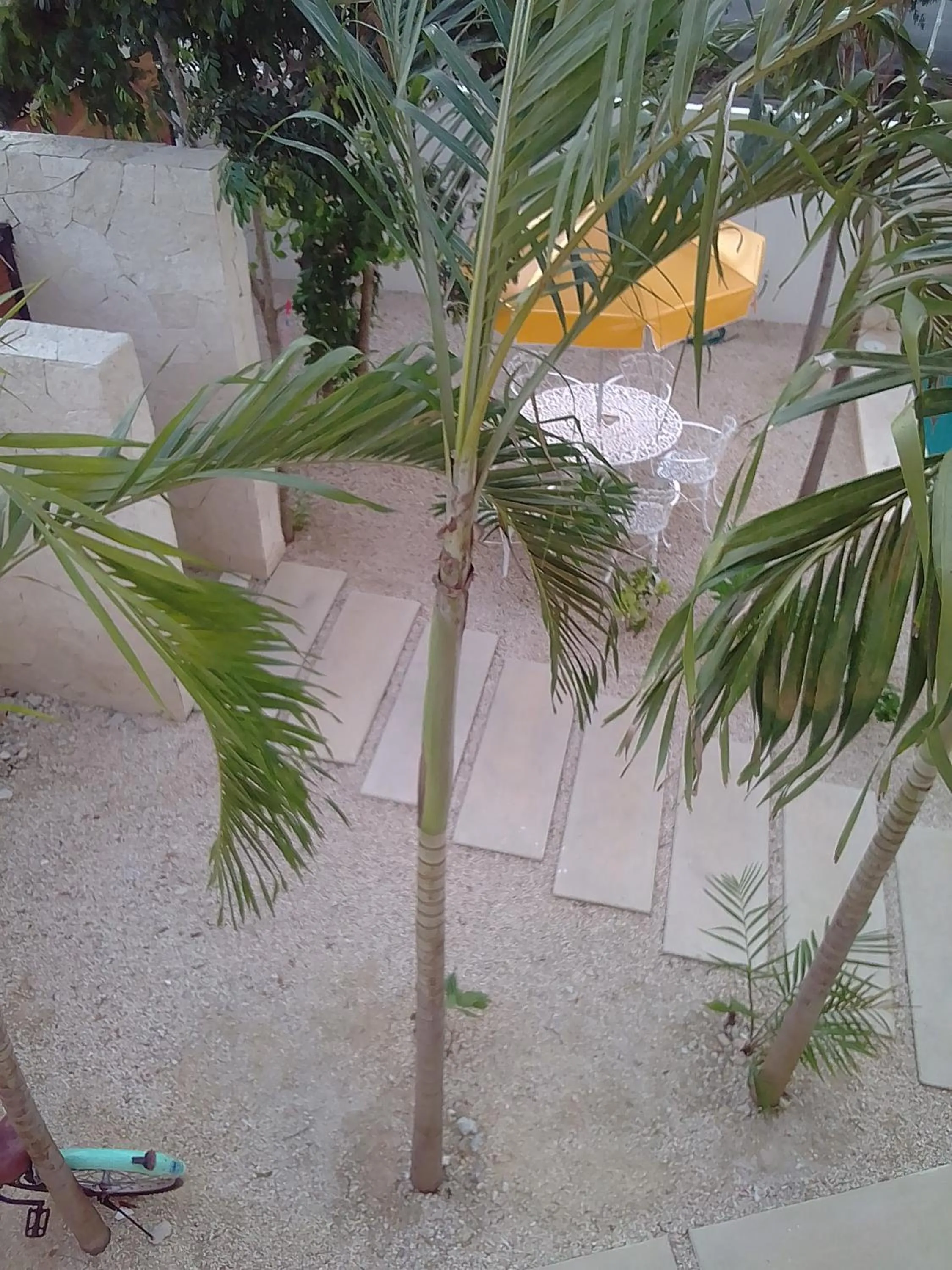 posada tumben ka´a