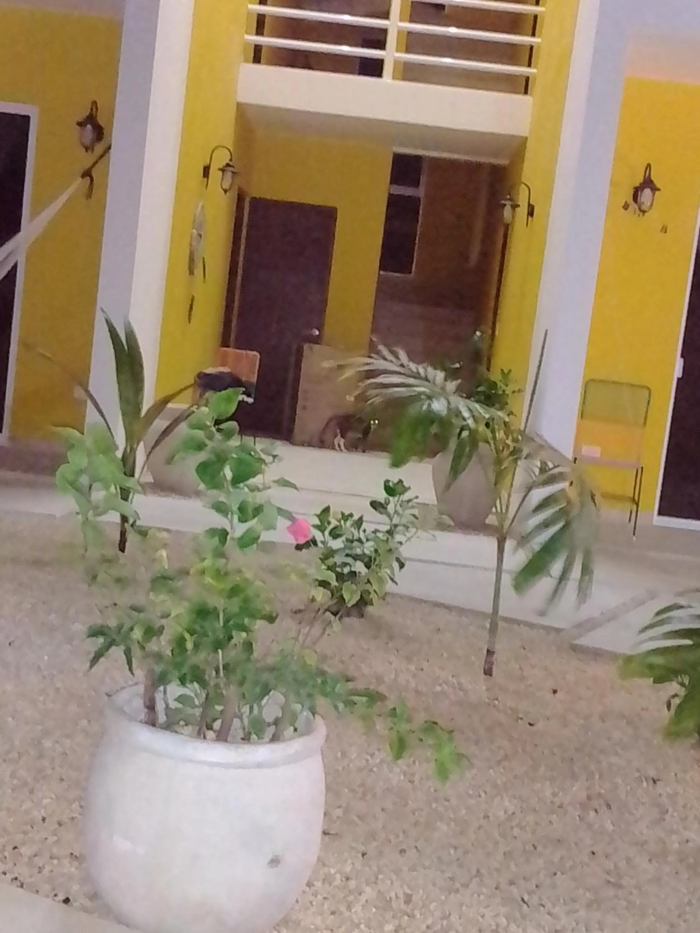 Property building in posada tumben ka´a