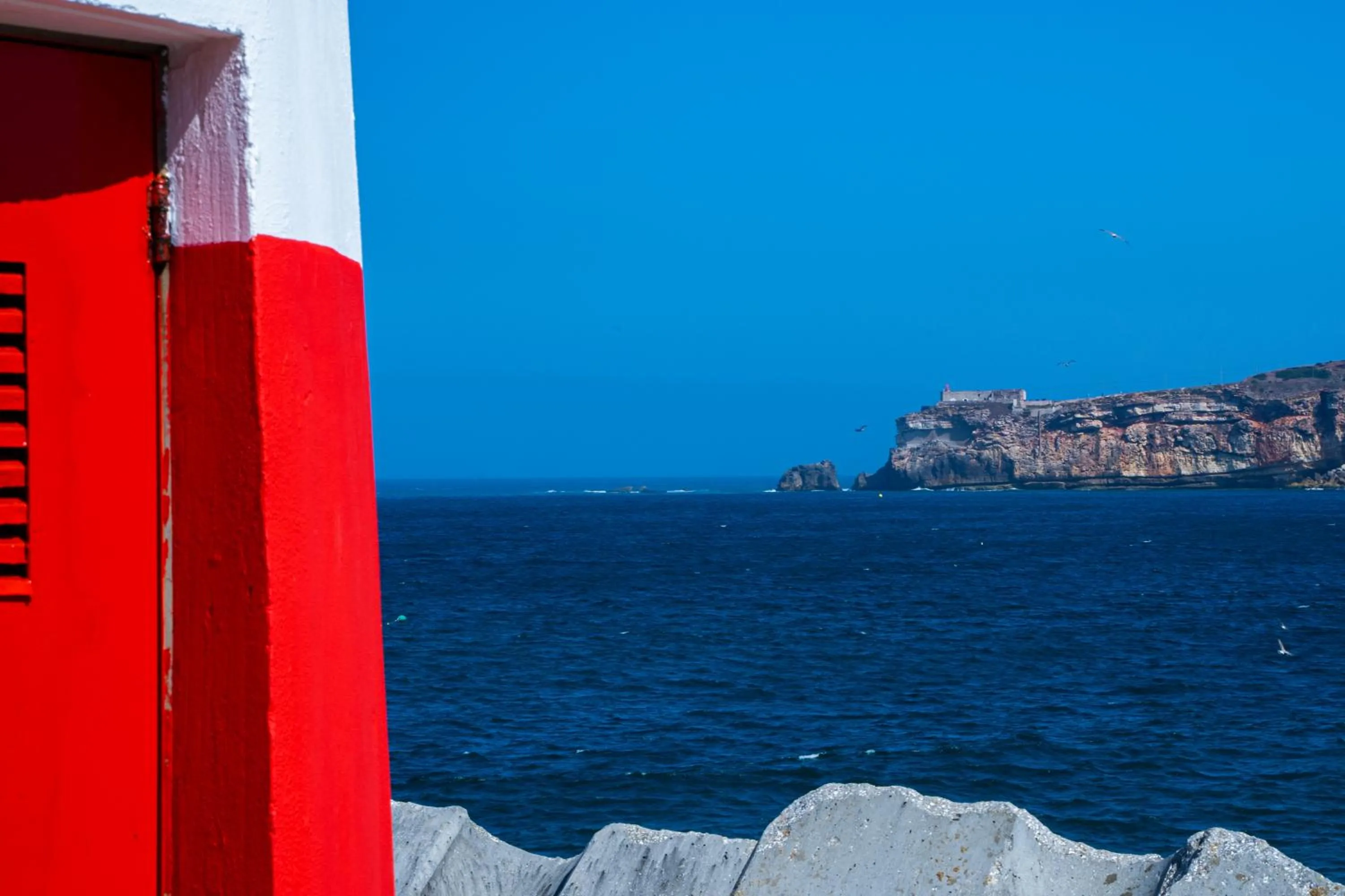 Paz & Amor Guest House - Peace & Love