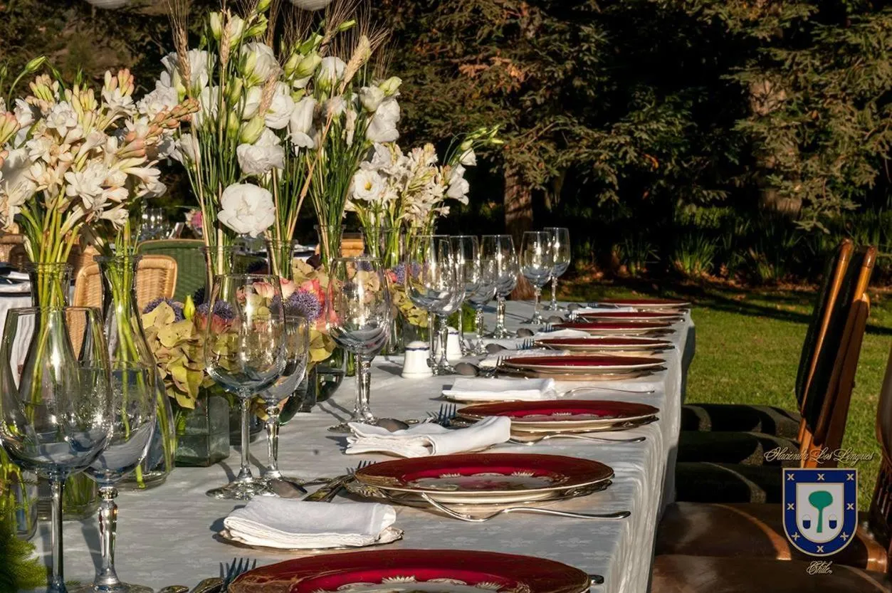 Activities in Hacienda los Lingues Chile Valle de Colchagua