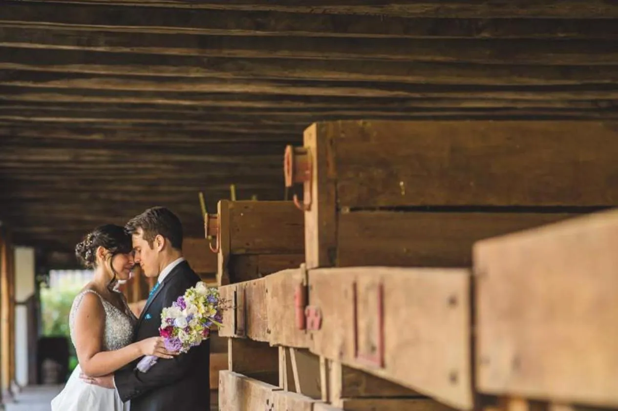 Animals in Hacienda los Lingues Chile Valle de Colchagua