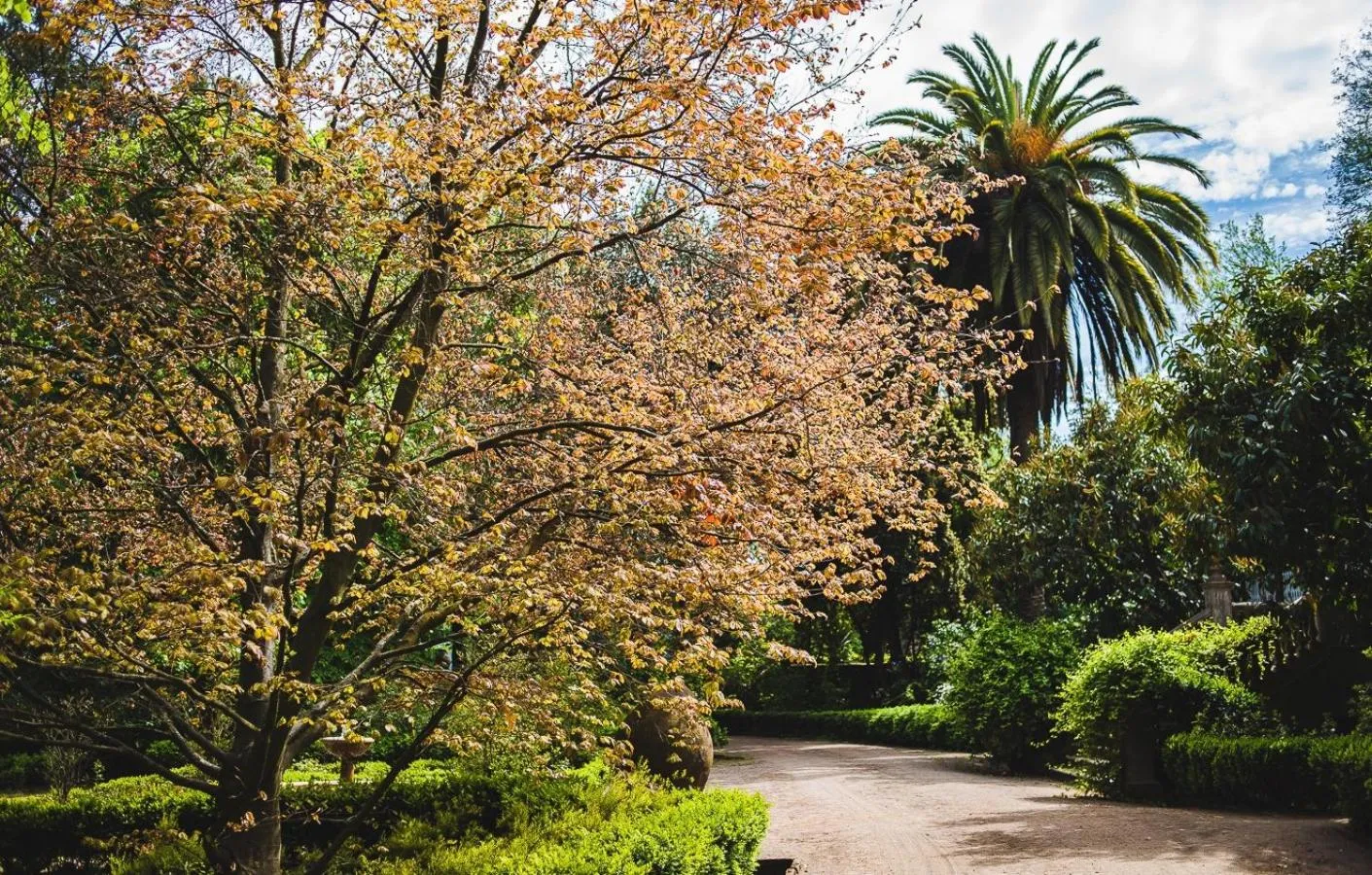 Hacienda los Lingues Chile Valle de Colchagua