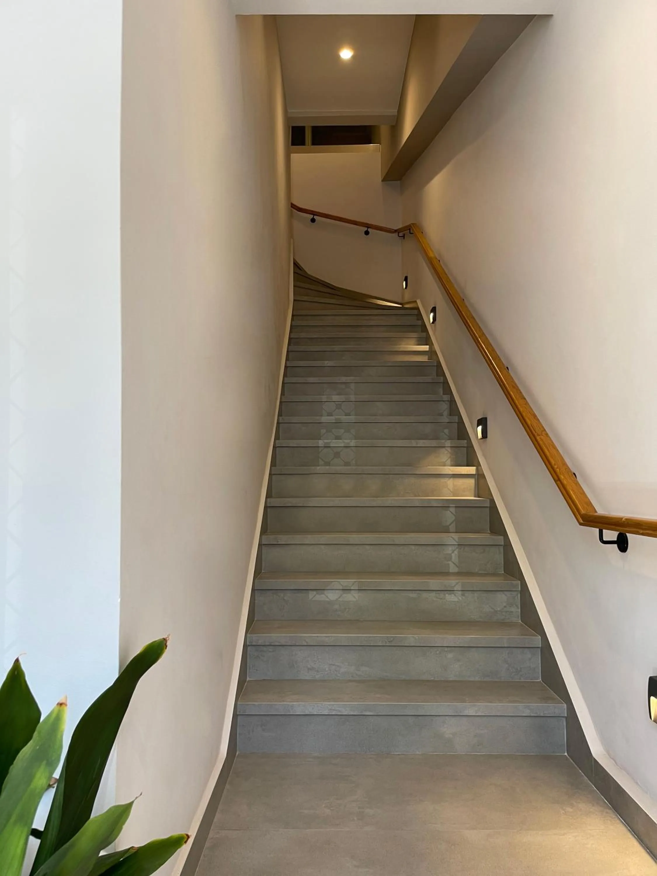 Plaza 1866 Superior City Rooms