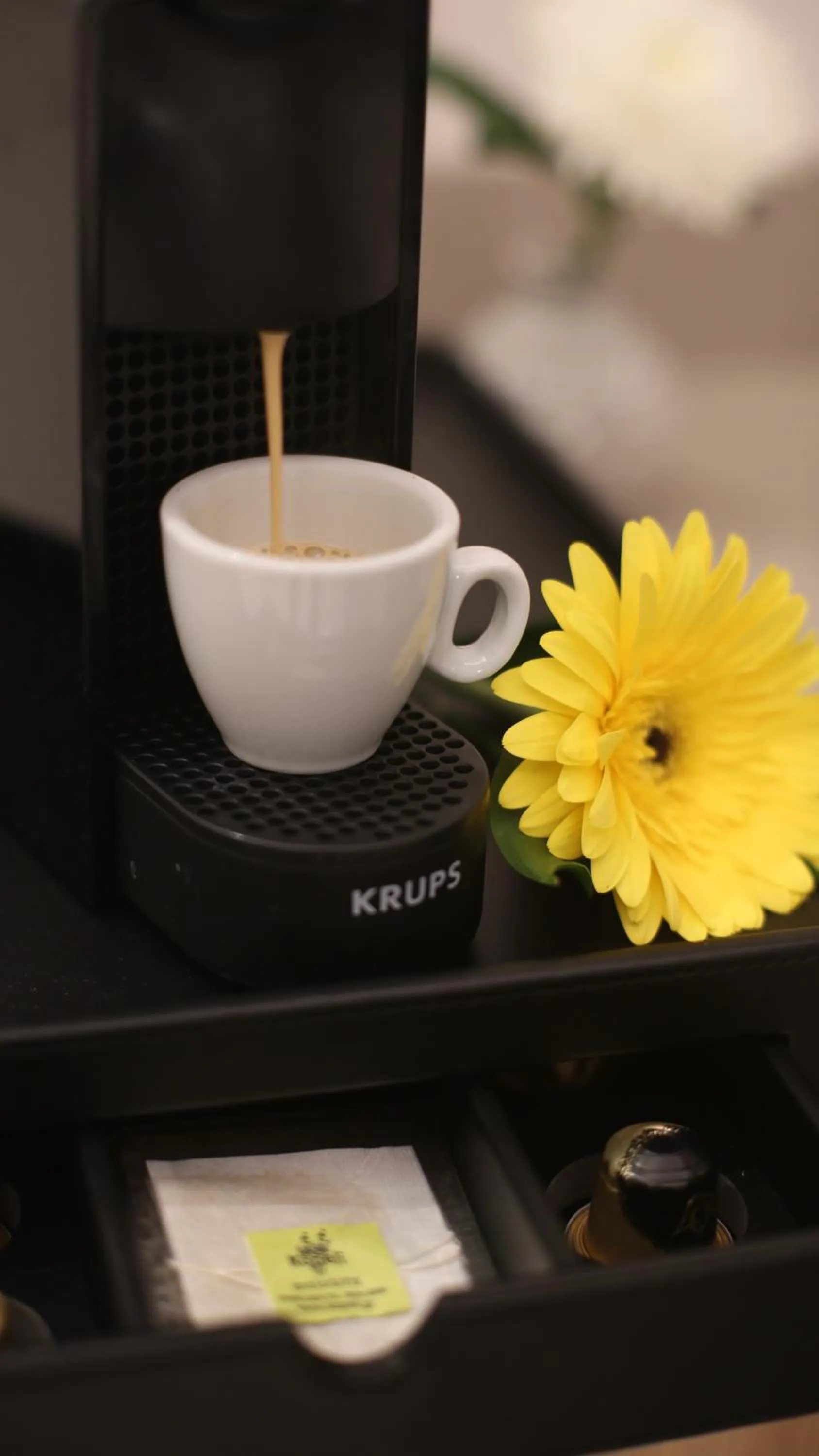 Coffee/tea facilities in Plaza 1866 Superior City Rooms