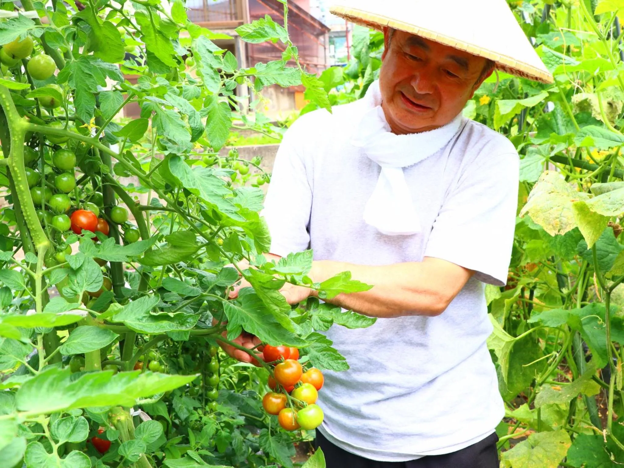 Natural landscape in Takanoya