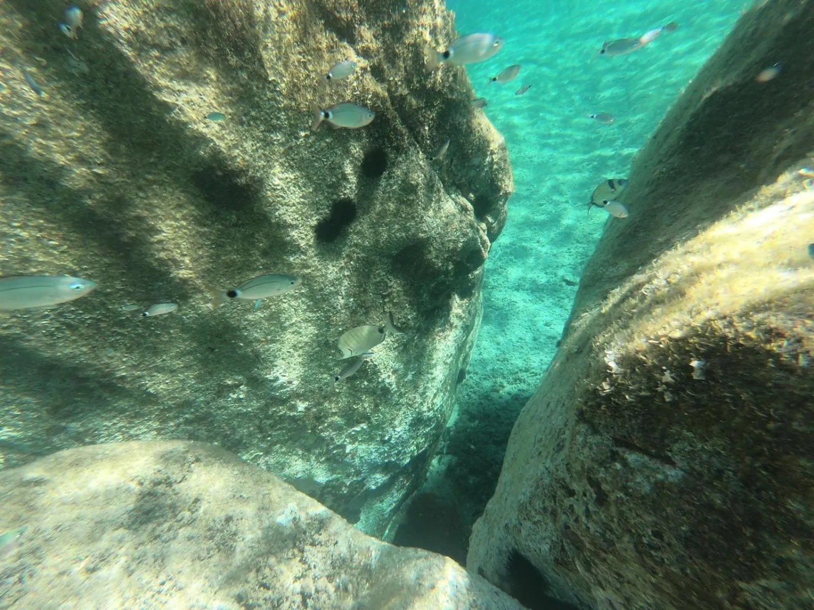 La Casa di Adele Cagliari B&B