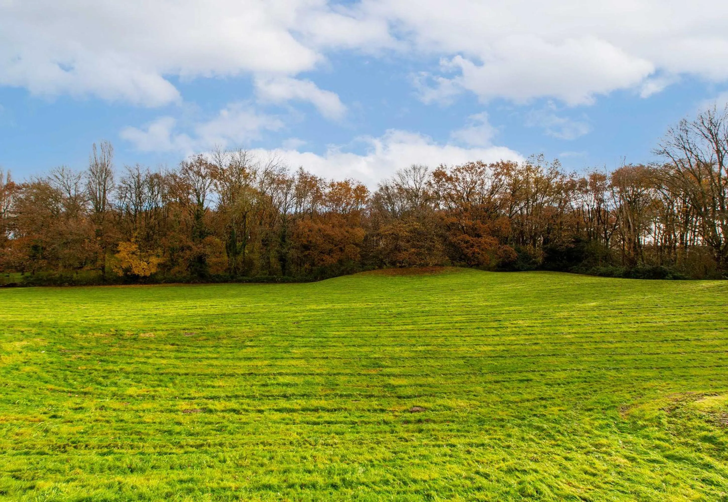 View (from property/room) in B&B HOTEL Orléans Nord Saran