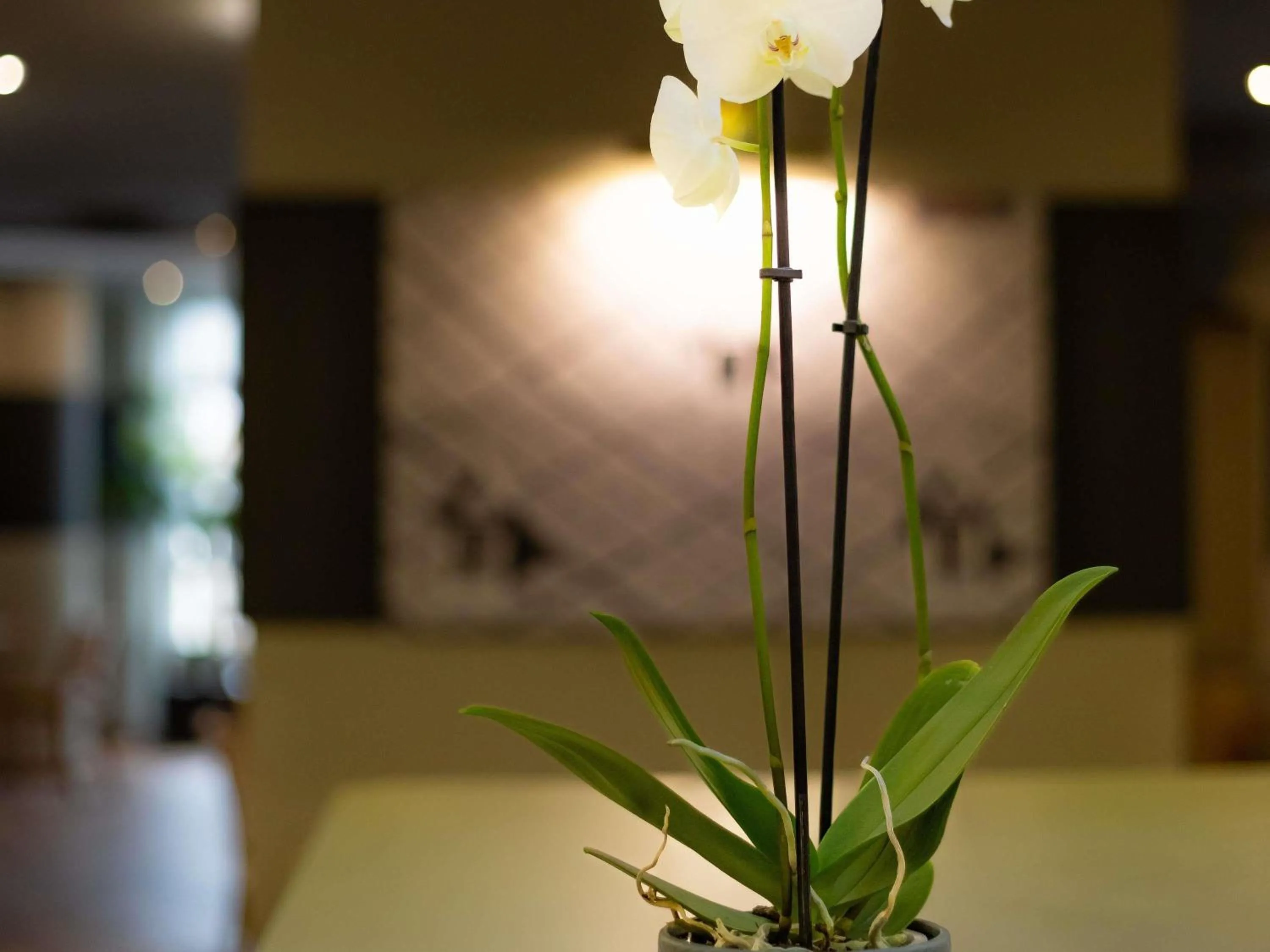 Lounge or bar in ibis Besançon Centre la City