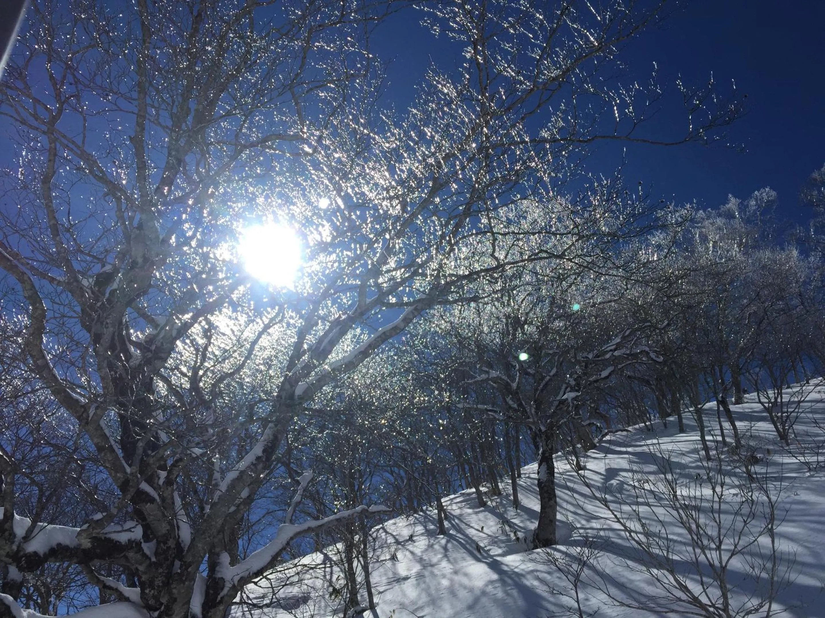 Natural landscape in the Kinta Naeba