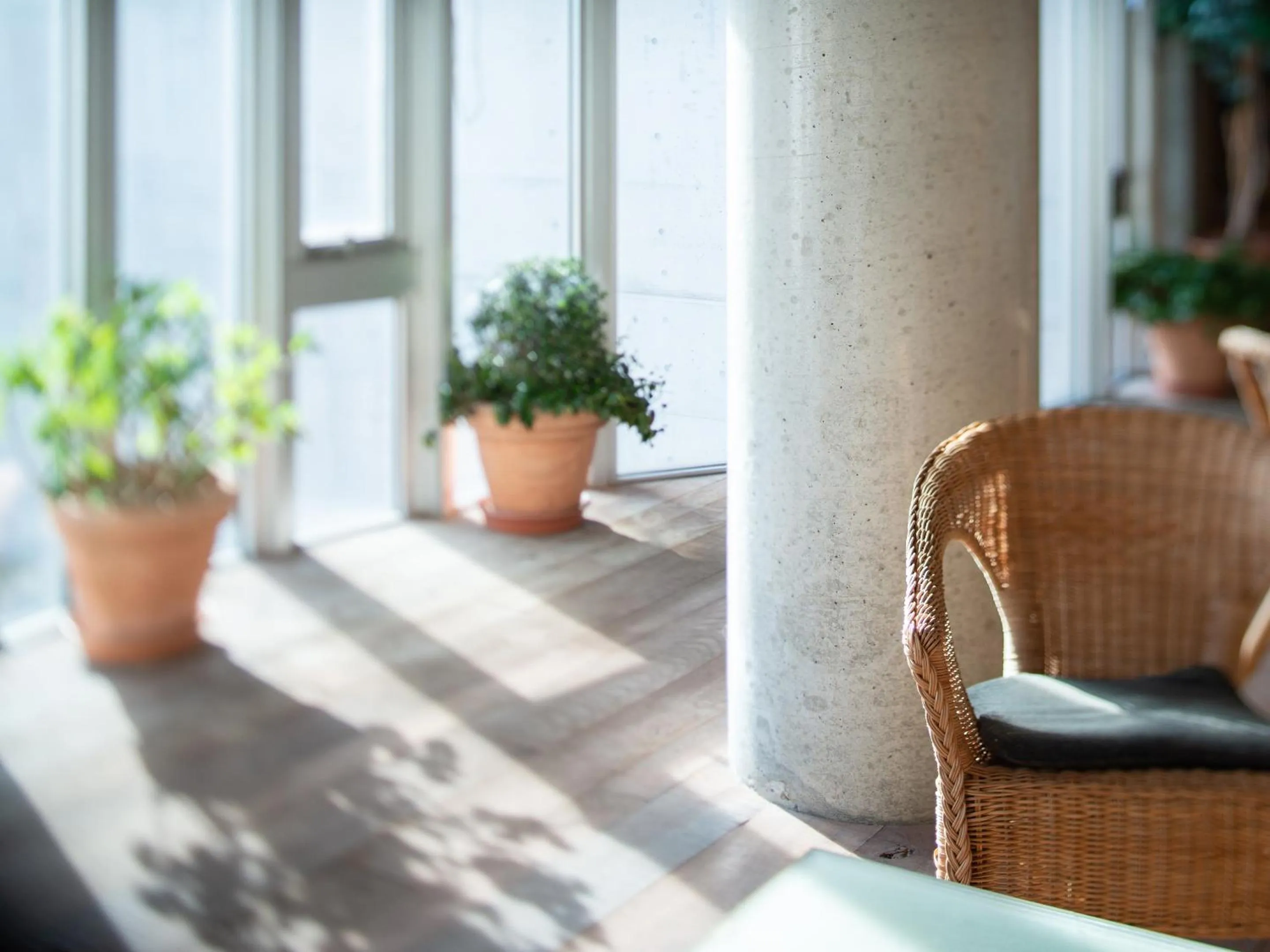 Area and facilities in the Kinta Naeba