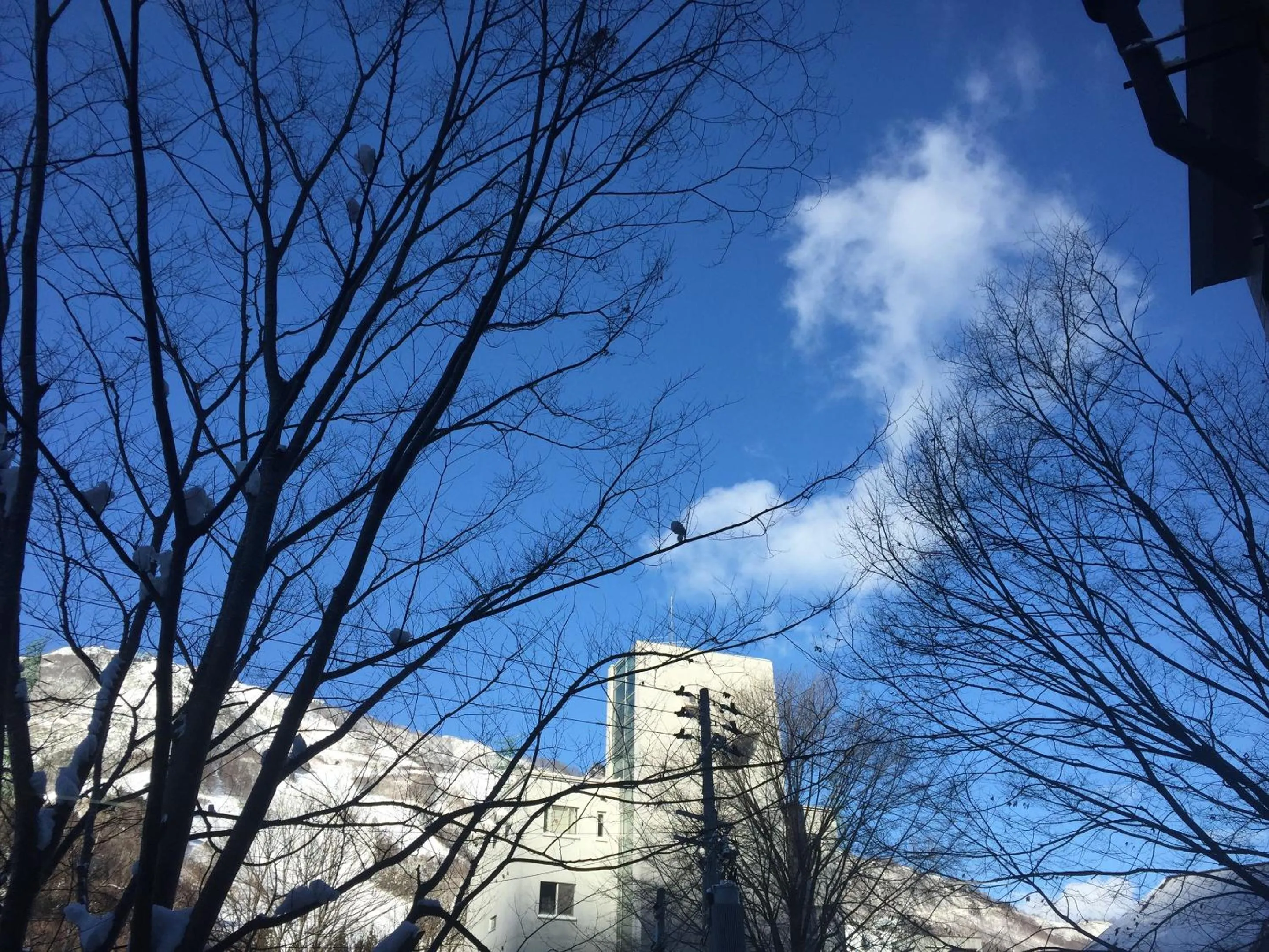 Property building in the Kinta Naeba