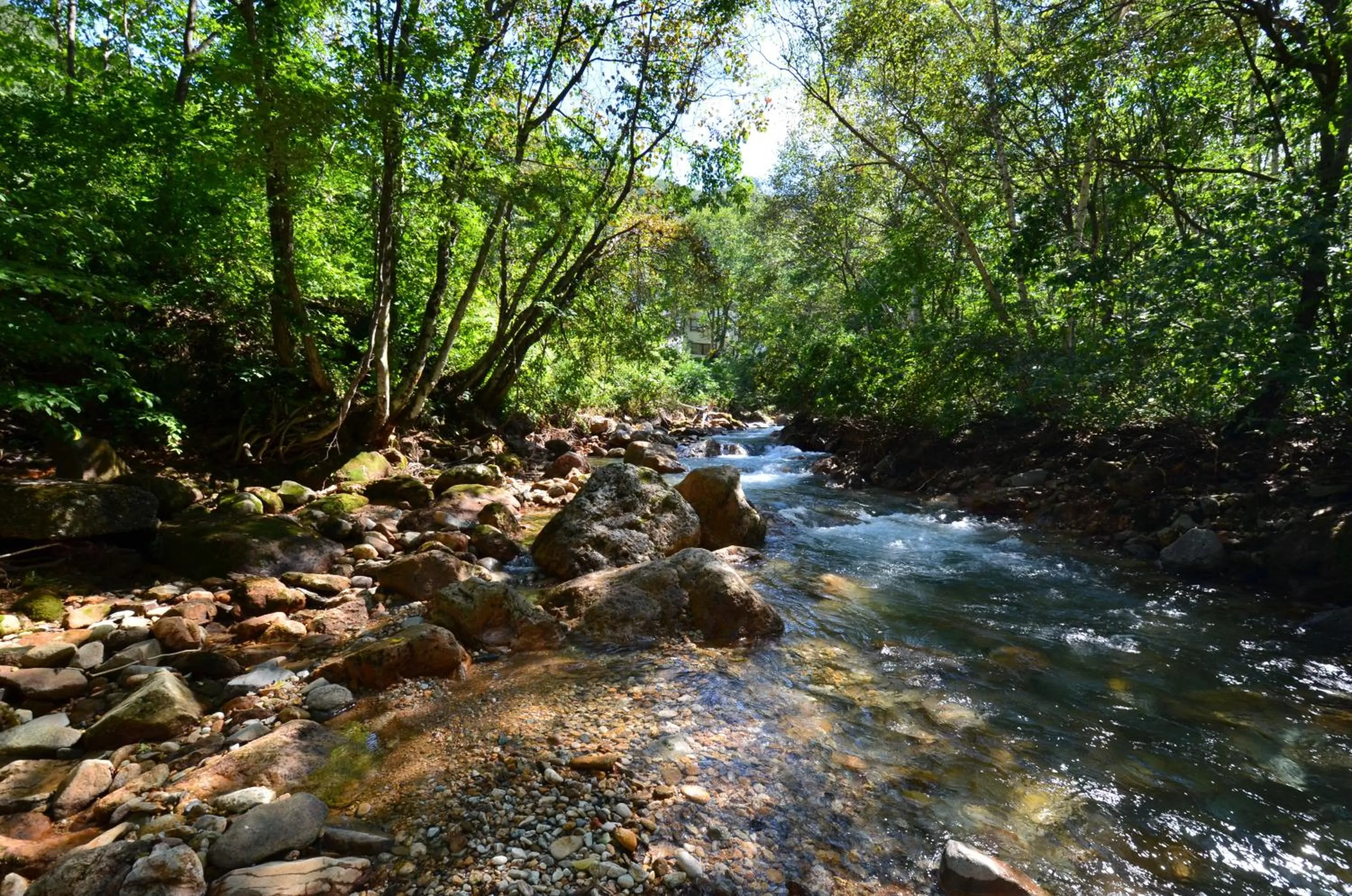 Hiking in the Kinta Naeba