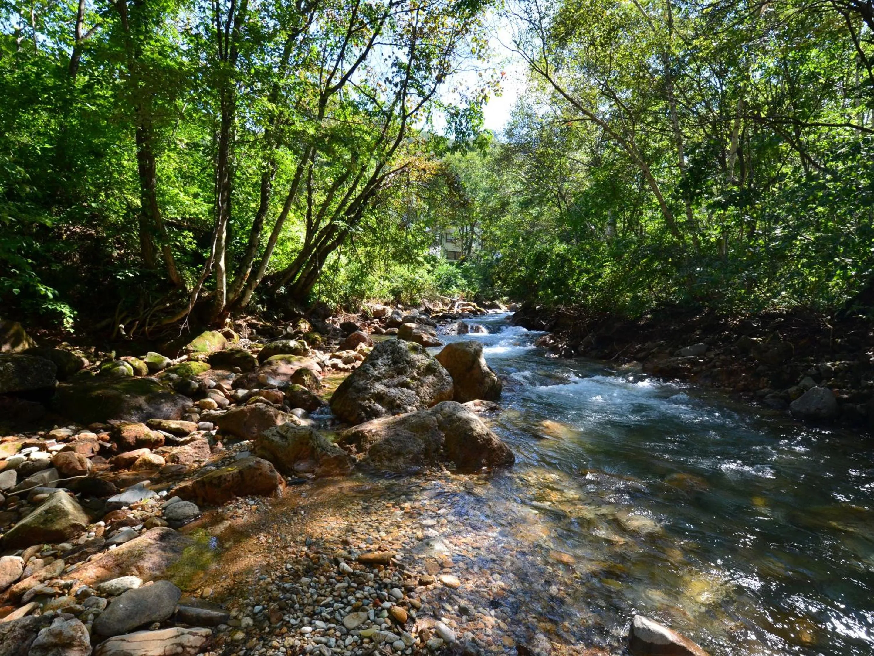 Off site in the Kinta Naeba