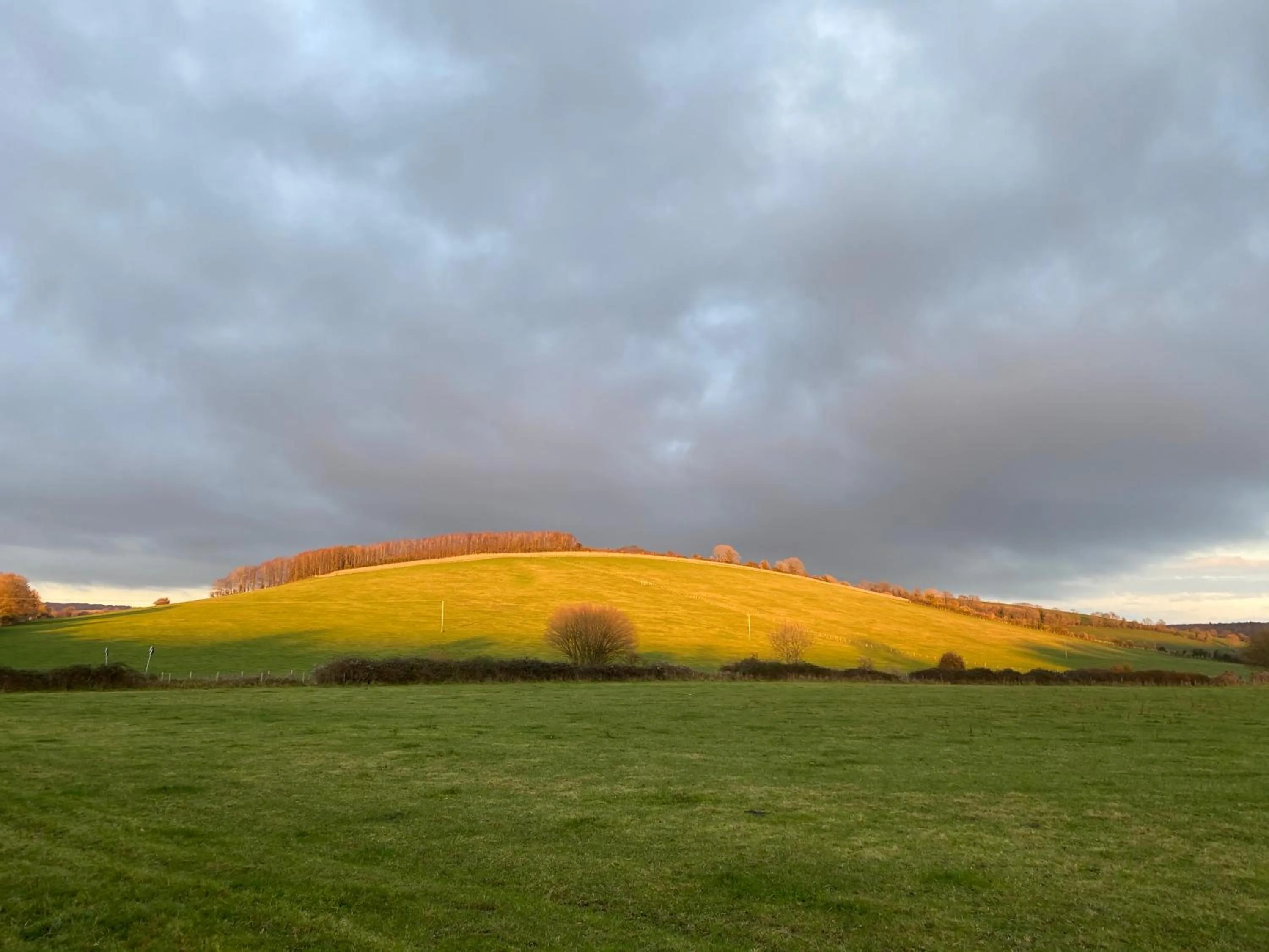 Charlton End - Goodwood Events