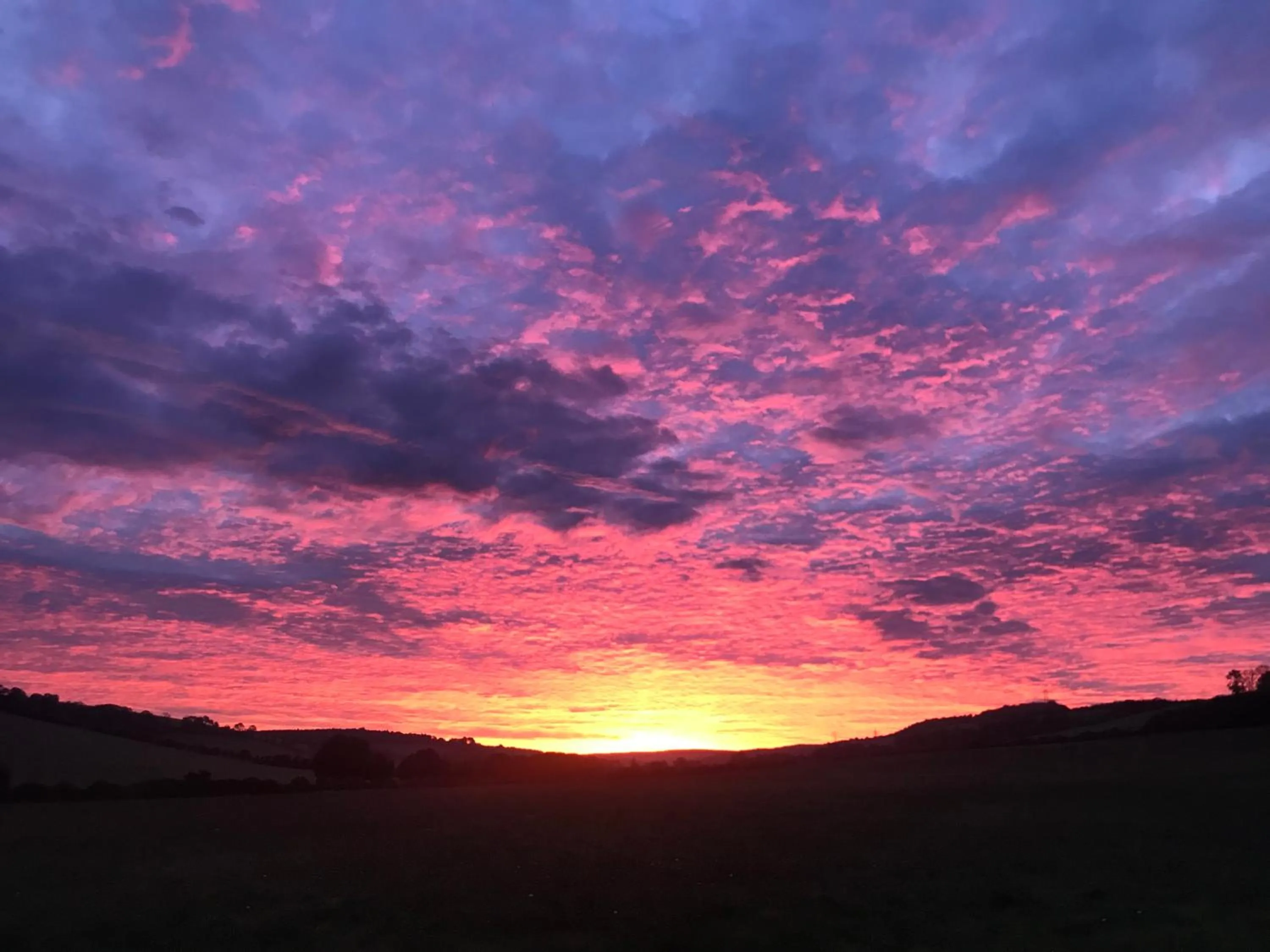 Charlton End - Goodwood Events