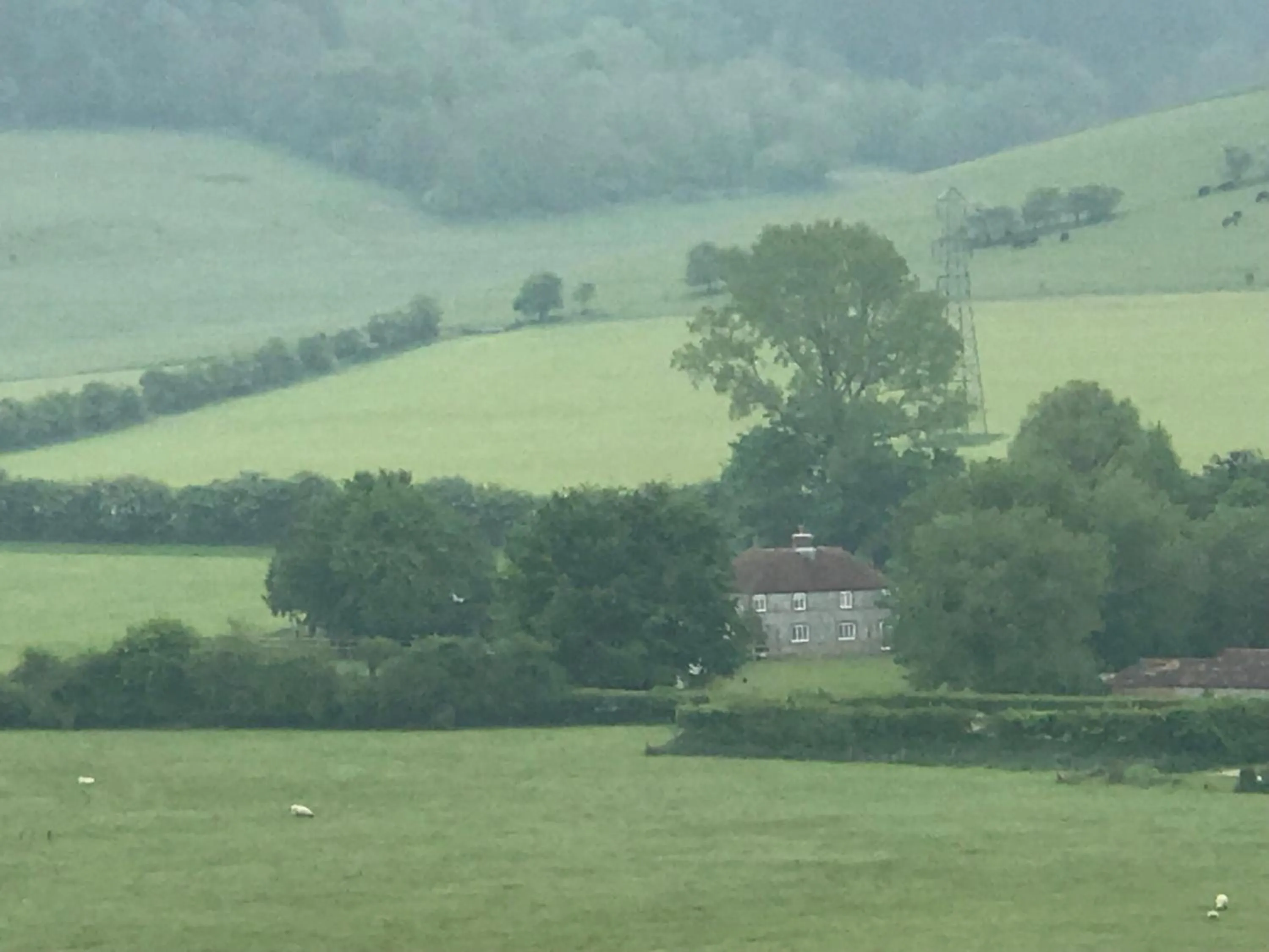 Charlton End - Goodwood Events