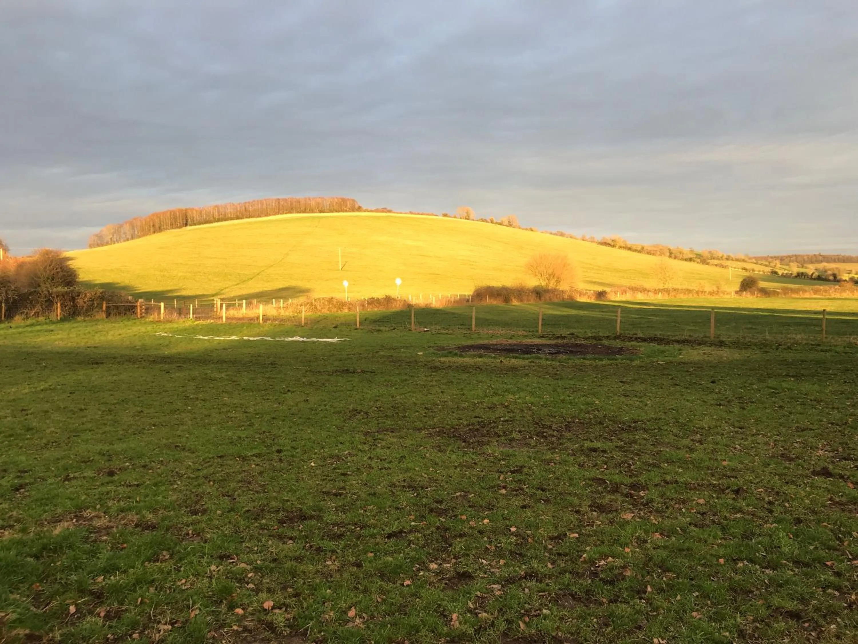 Charlton End - Goodwood Events