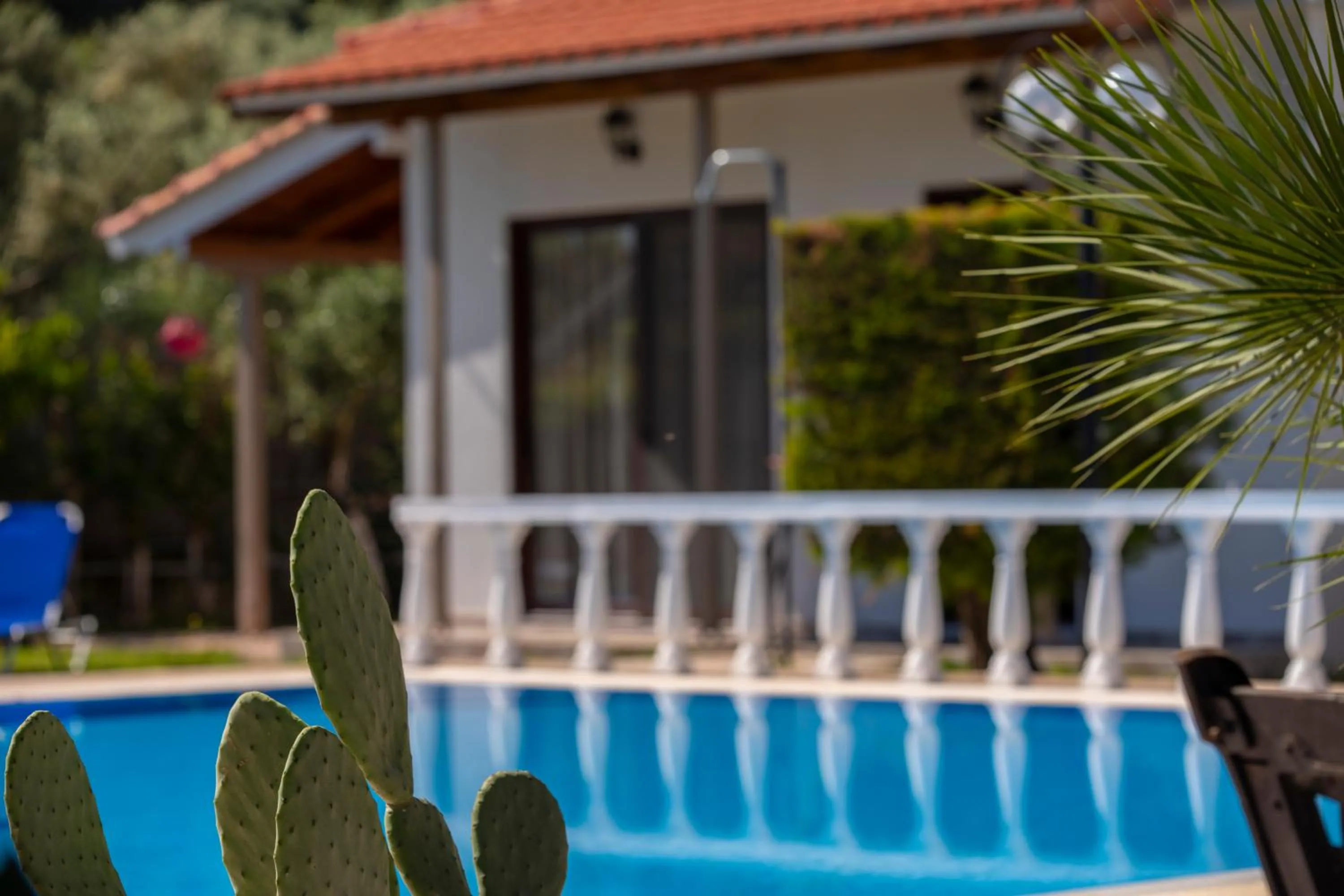 Villa Dimitris Apartments & Bungalows
