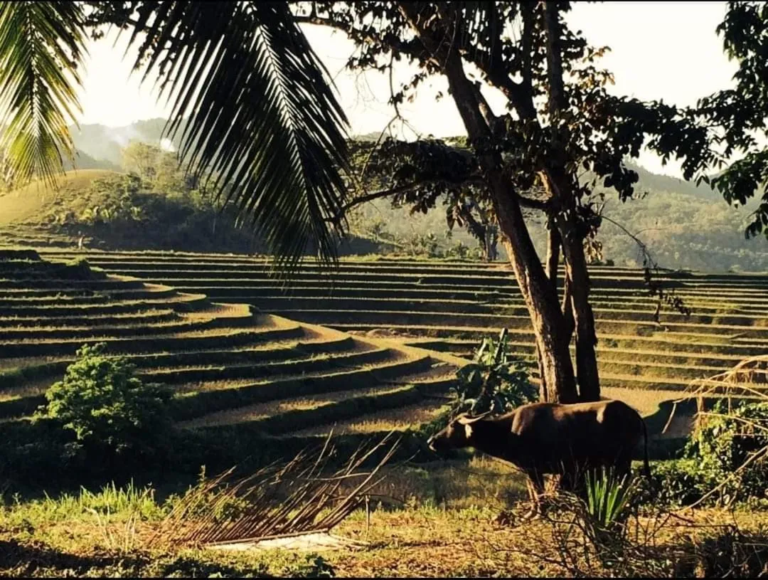 Neighbourhood in Amun Ini Beach Resort & Spa