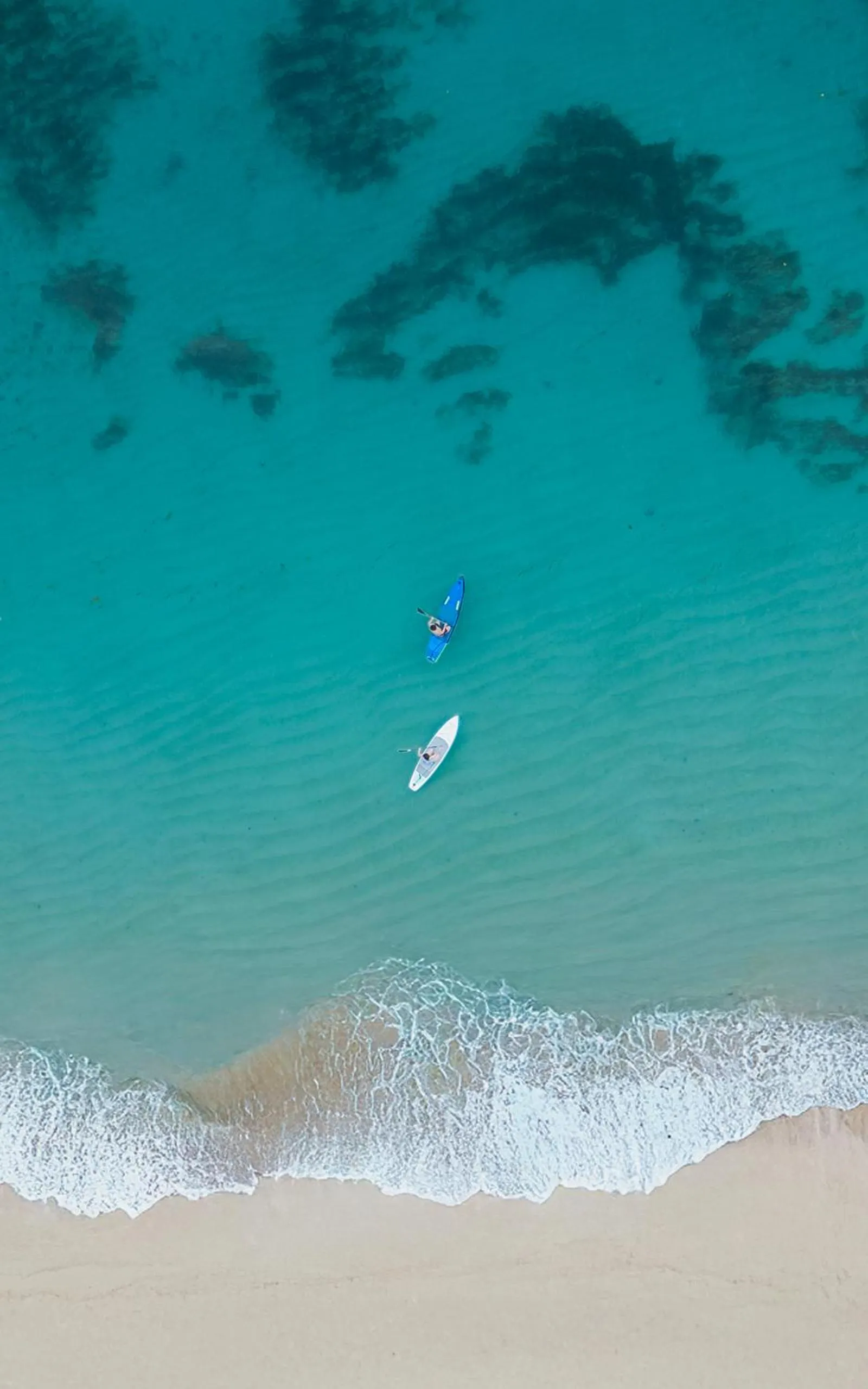 Activities in Samabe Bali Suites & Villas