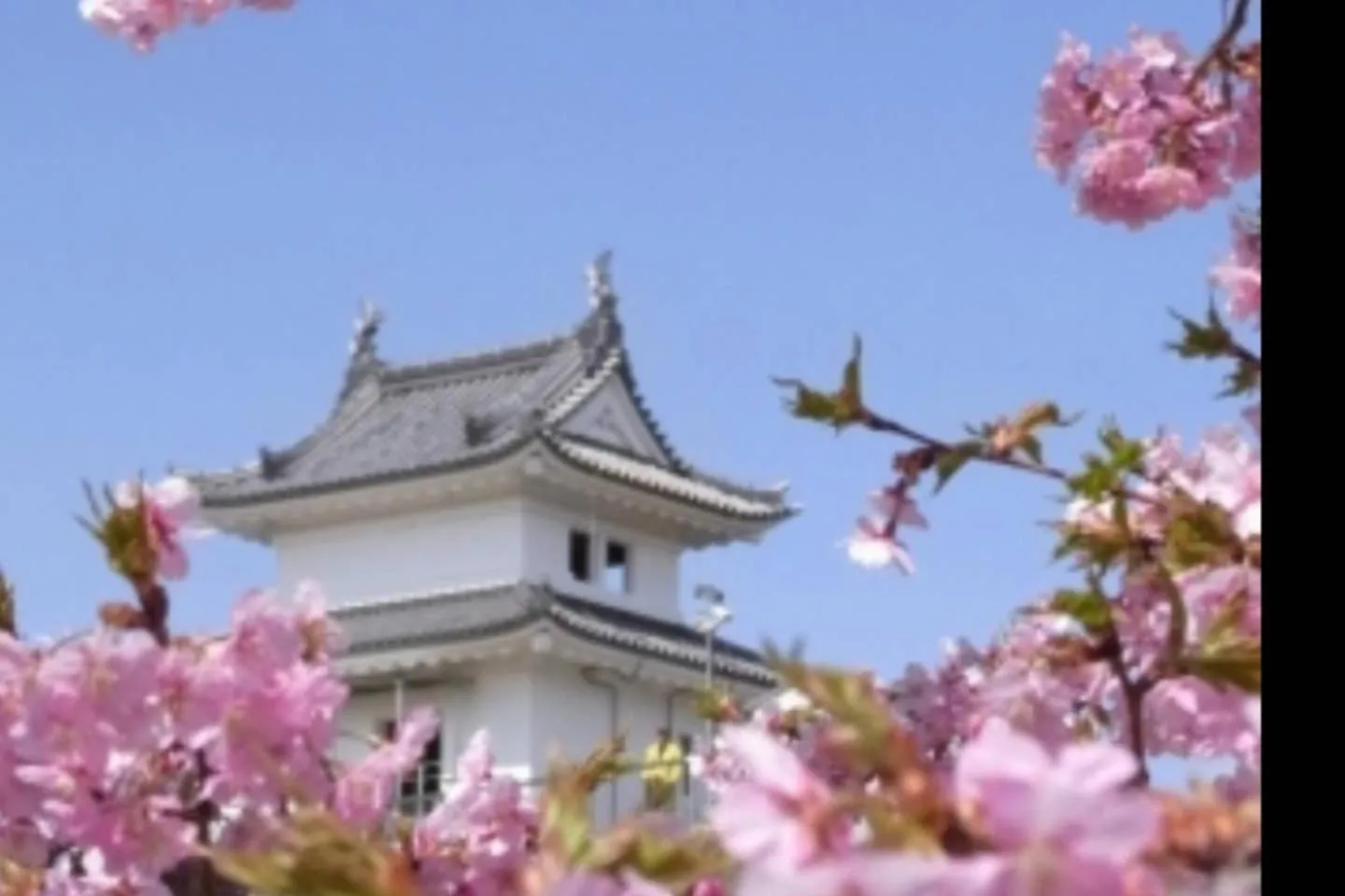 Spring in Hotel EL Tochigi 3 free parking