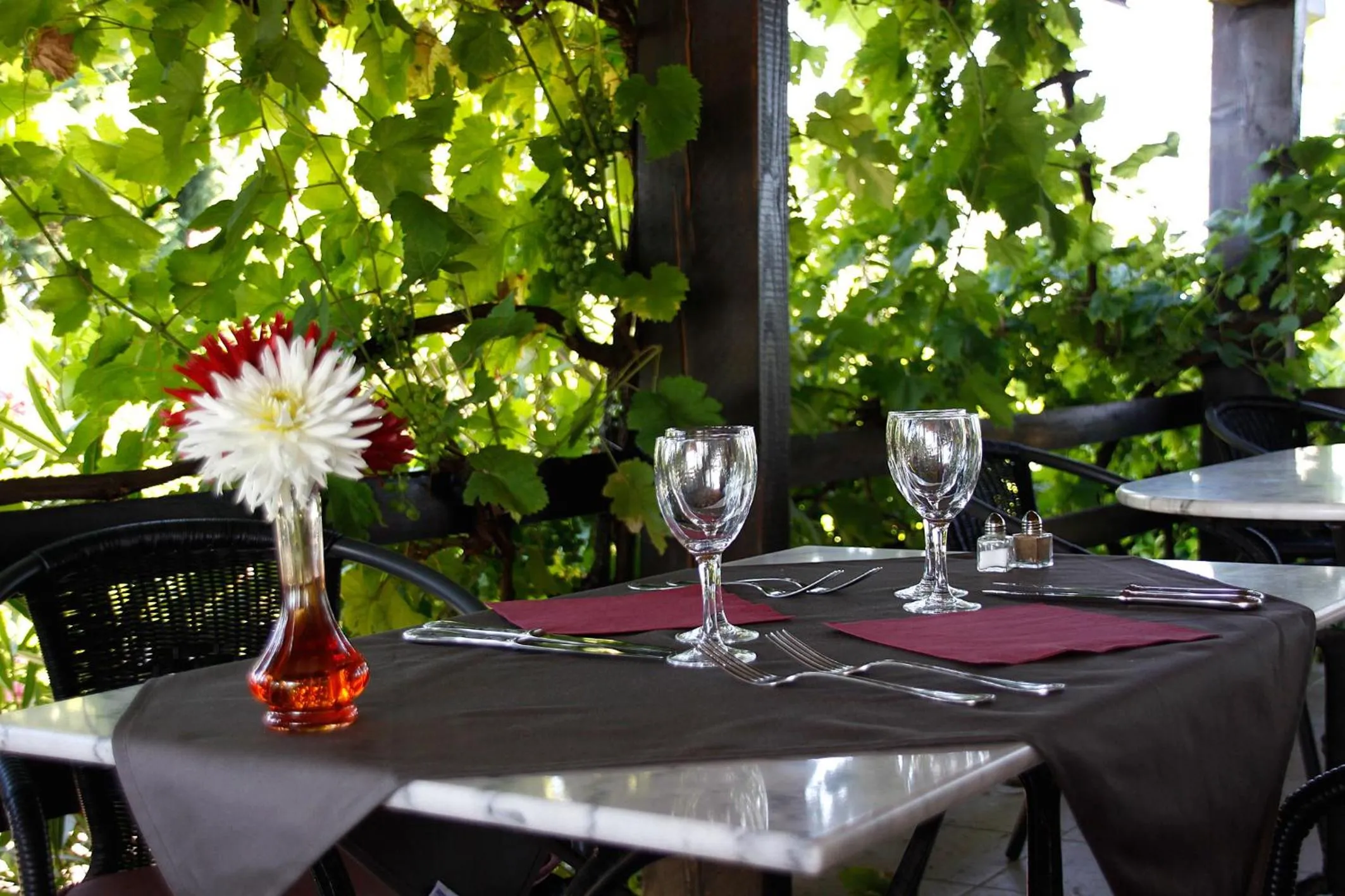Balcony/Terrace in Logis des Crêtes de Pignols