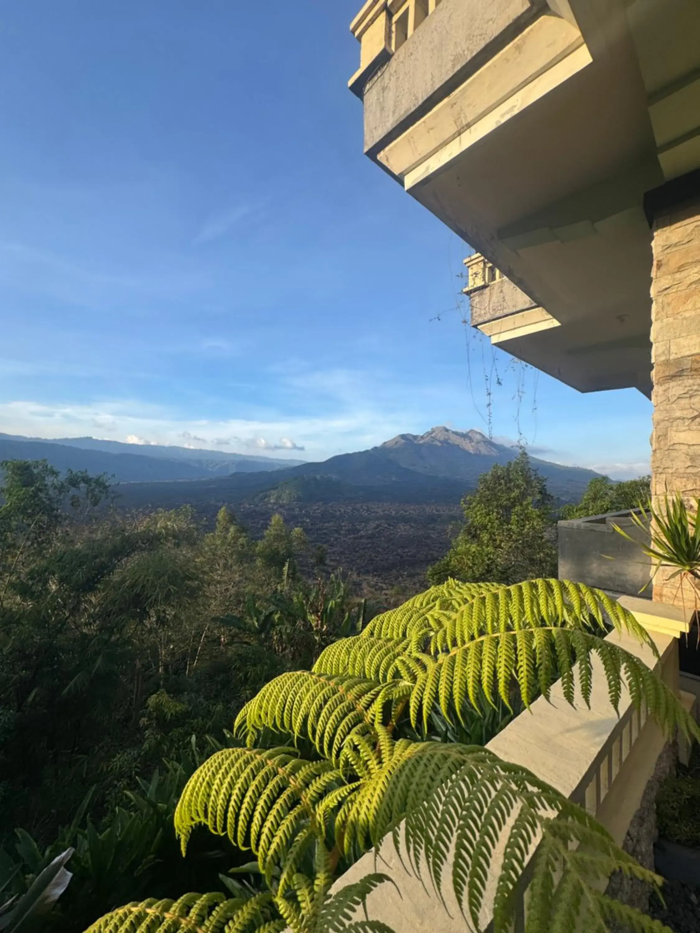 Ayodya Batur Villa Ayodya Batur Villa