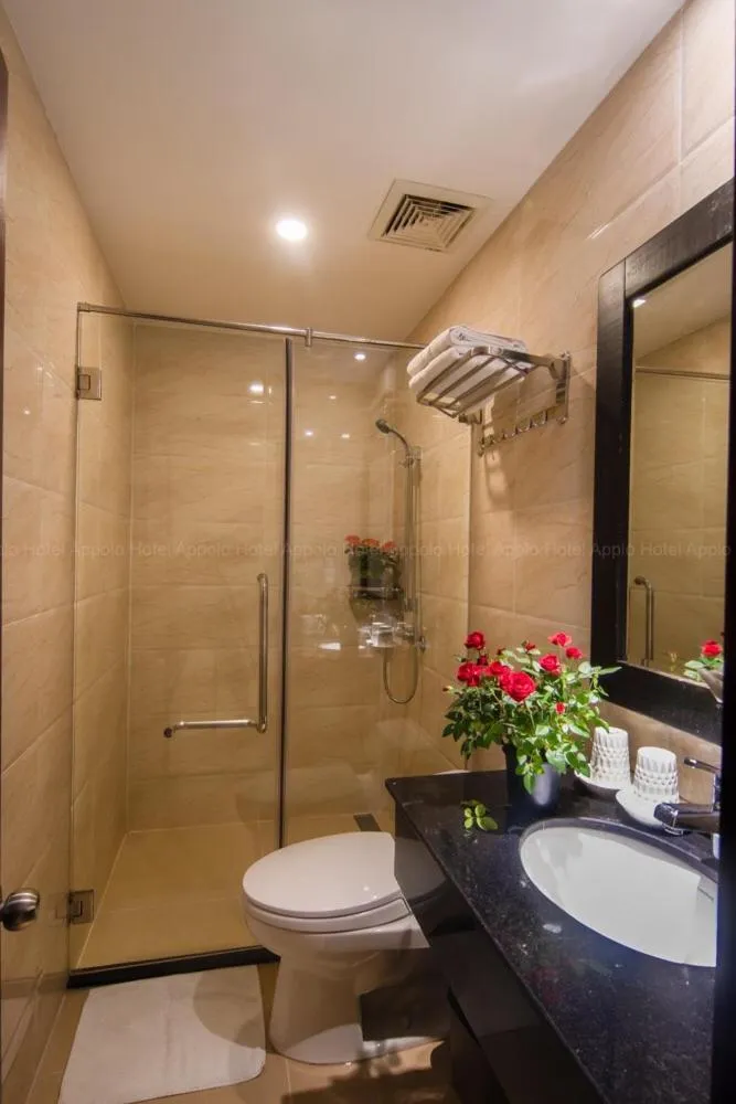 Apollo Airport Hotel