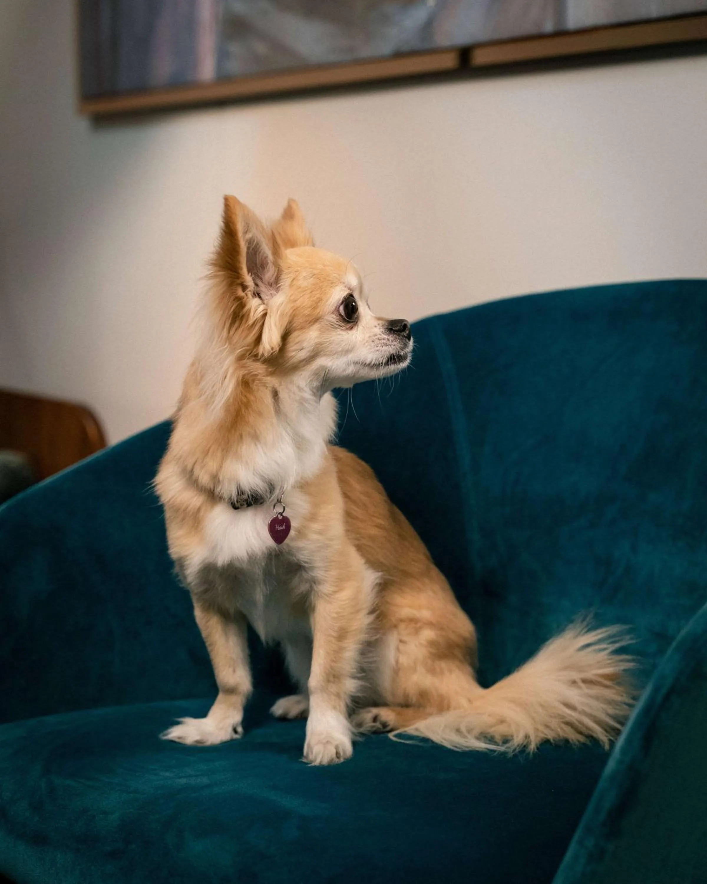 Nearby landmark in Maison Colbert Member of Meliá Collection Notre-Dame