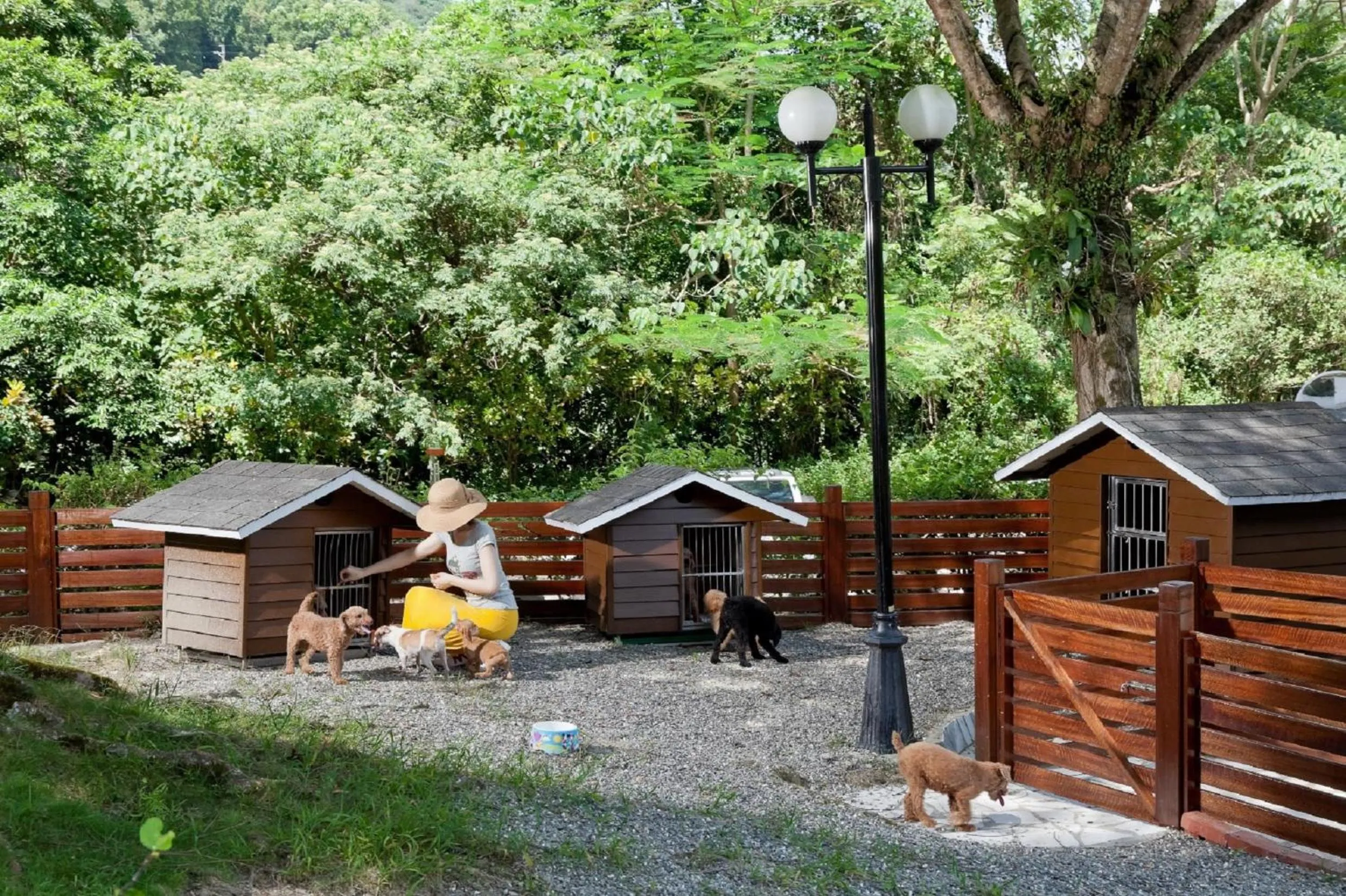 Pets in Hotel Royal Chihpin