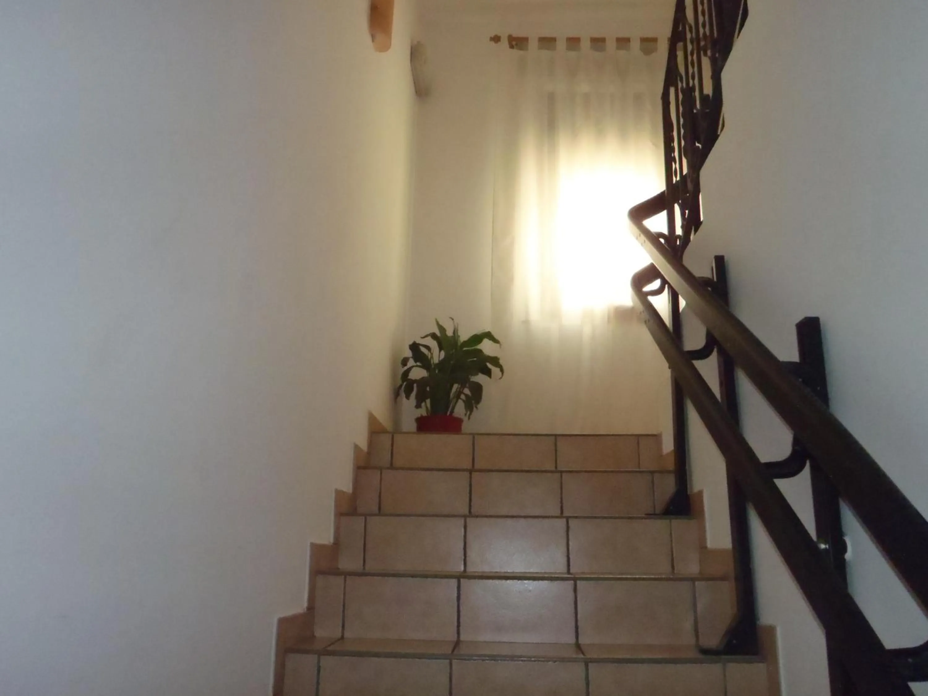 Other in Albergo Pizzeria Sole