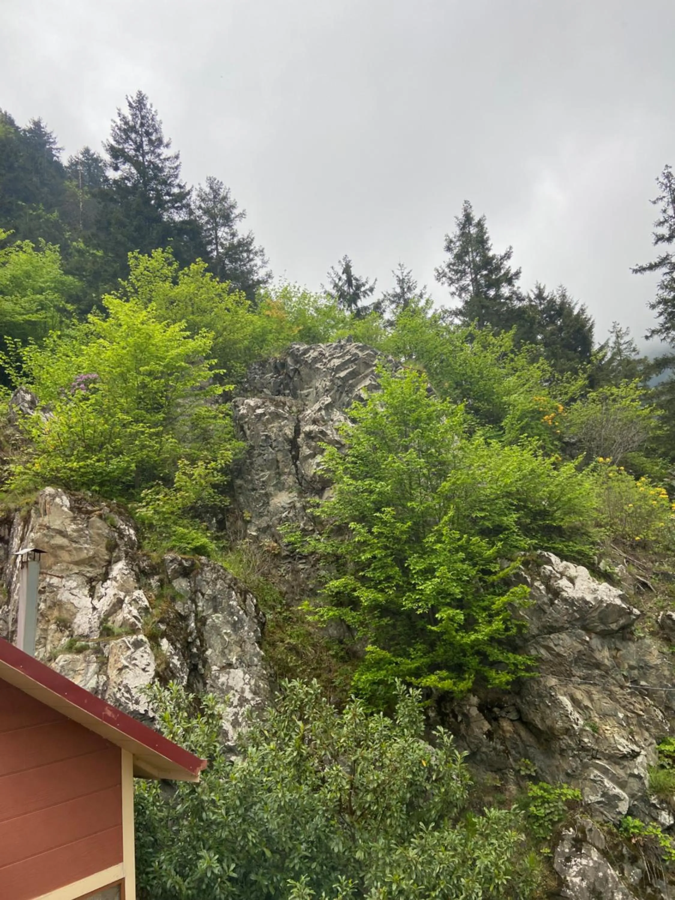 Spring in Uzungol Soylu Hotel