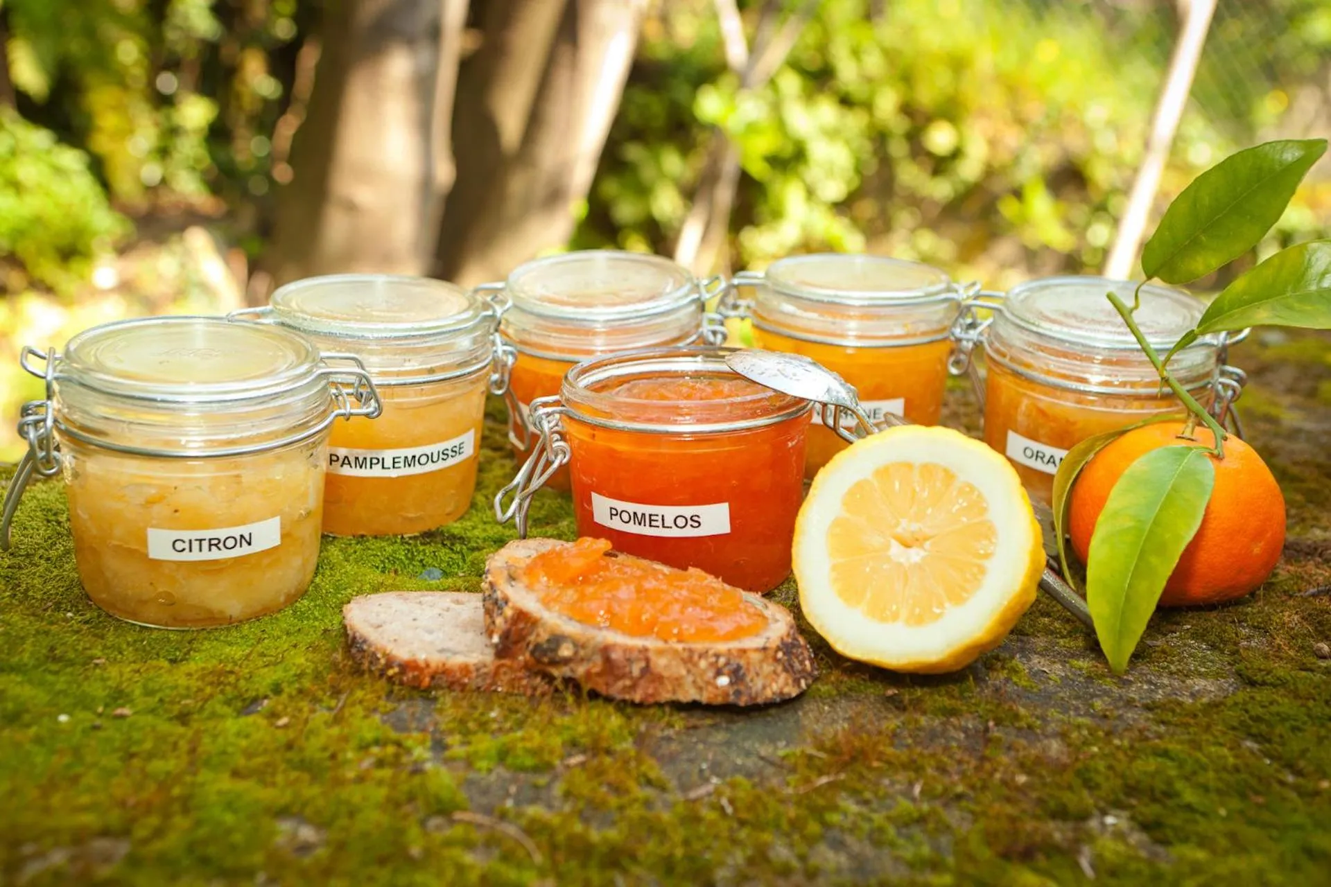 Buffet breakfast in Hôtel Pietracap