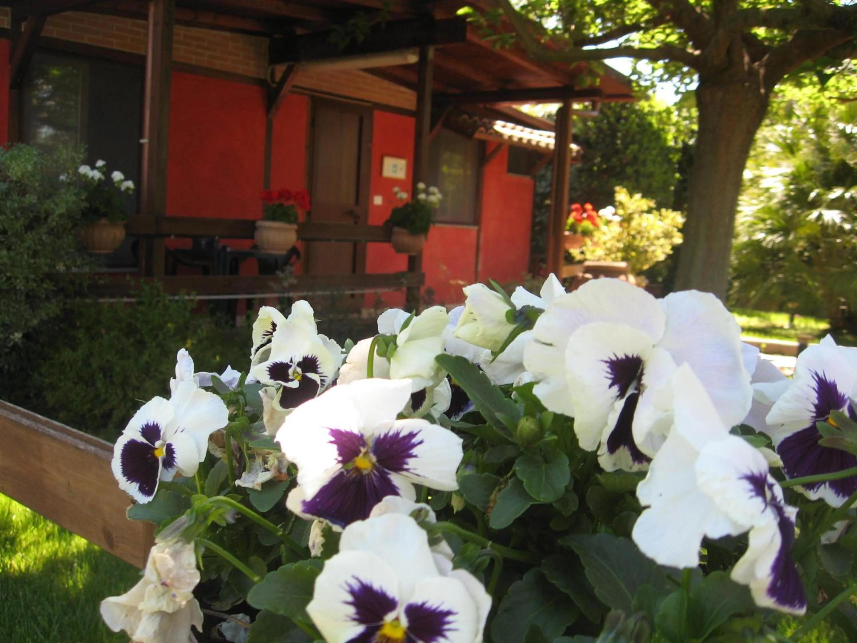 Decorative detail in La Locanda di Decima