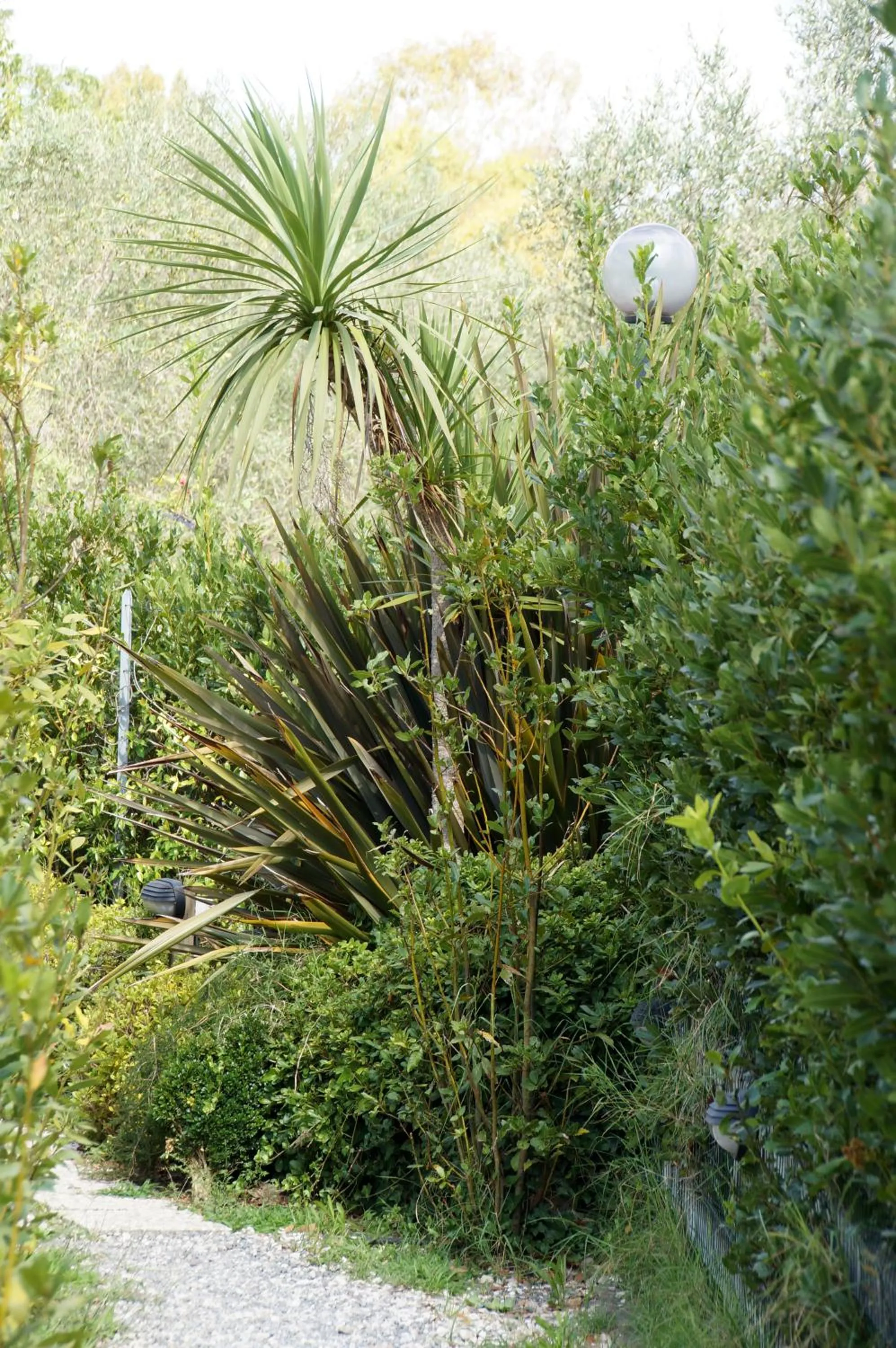 Decorative detail in La Locanda di Decima