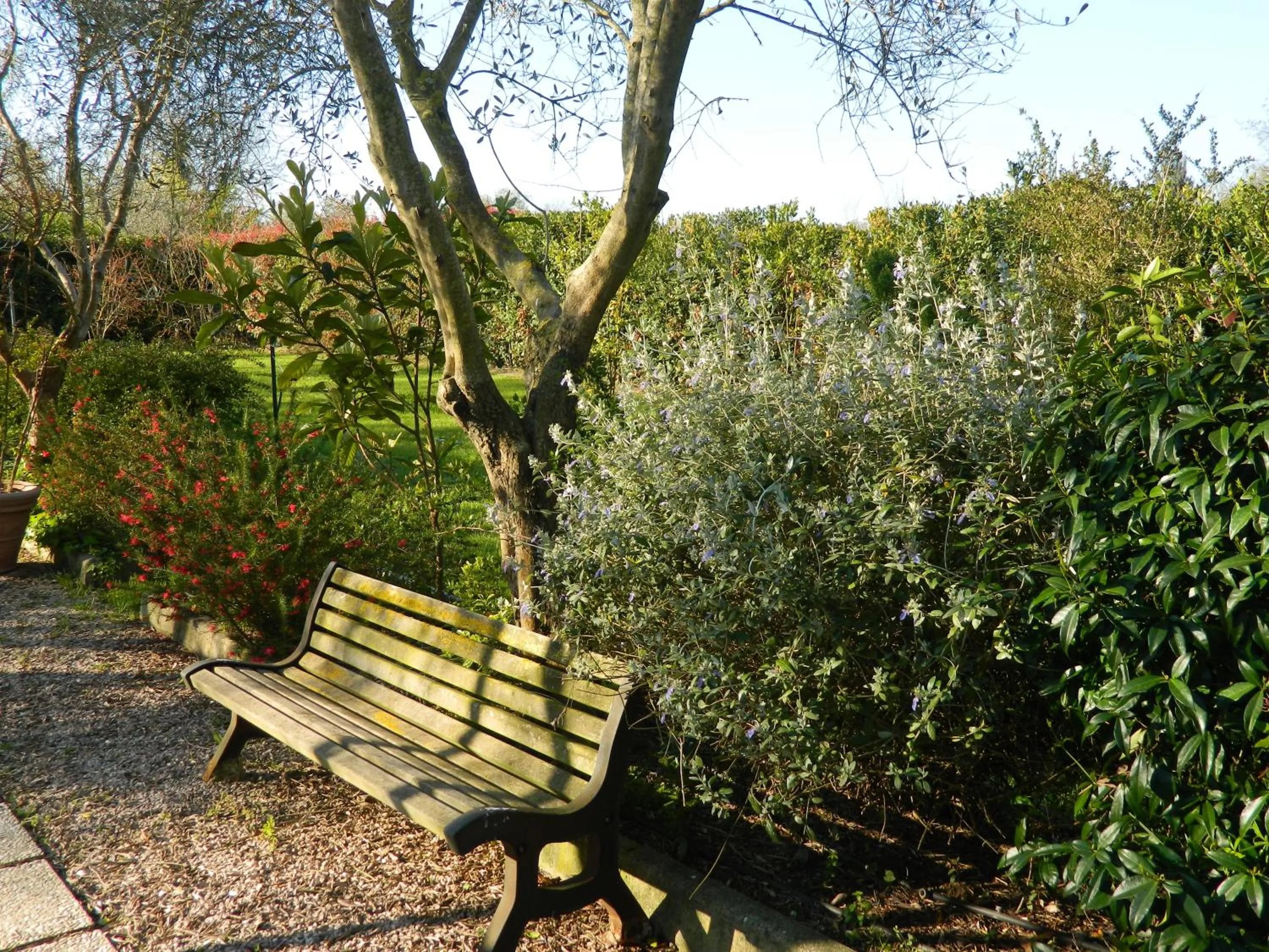 Garden in La Locanda di Decima