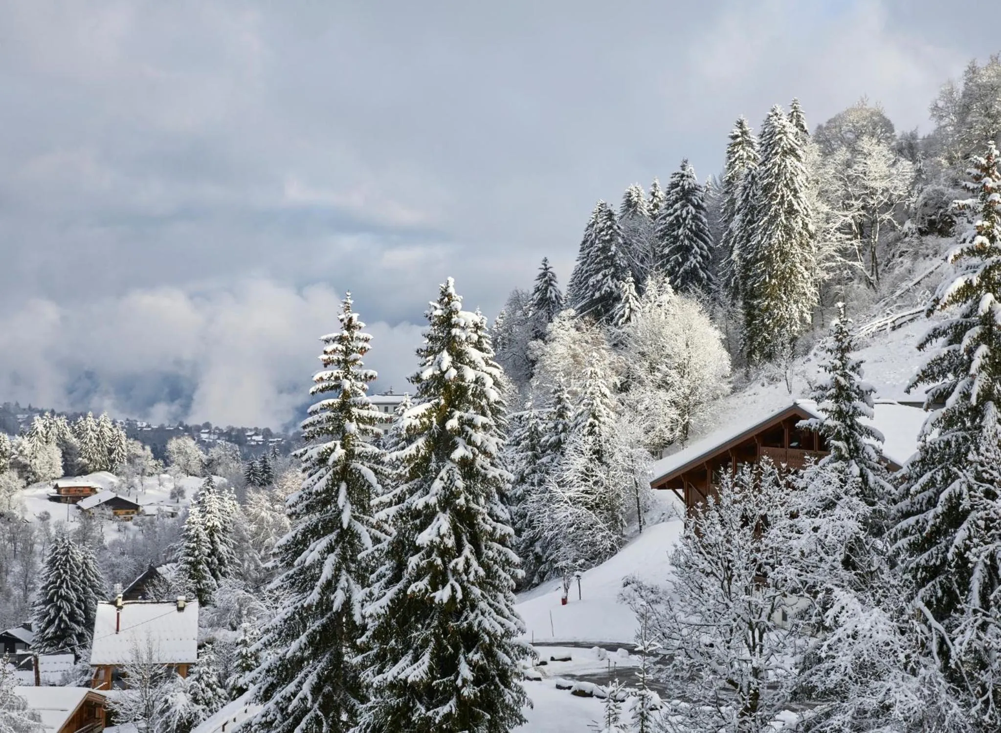 Day in Hôtel L'Arboisie