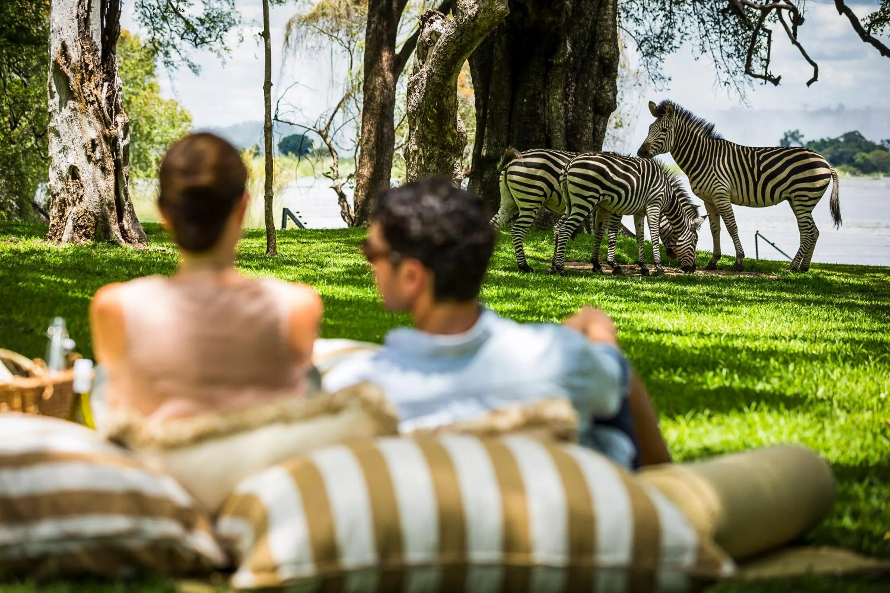 Garden in Royal Livingstone Hotel by Anantara