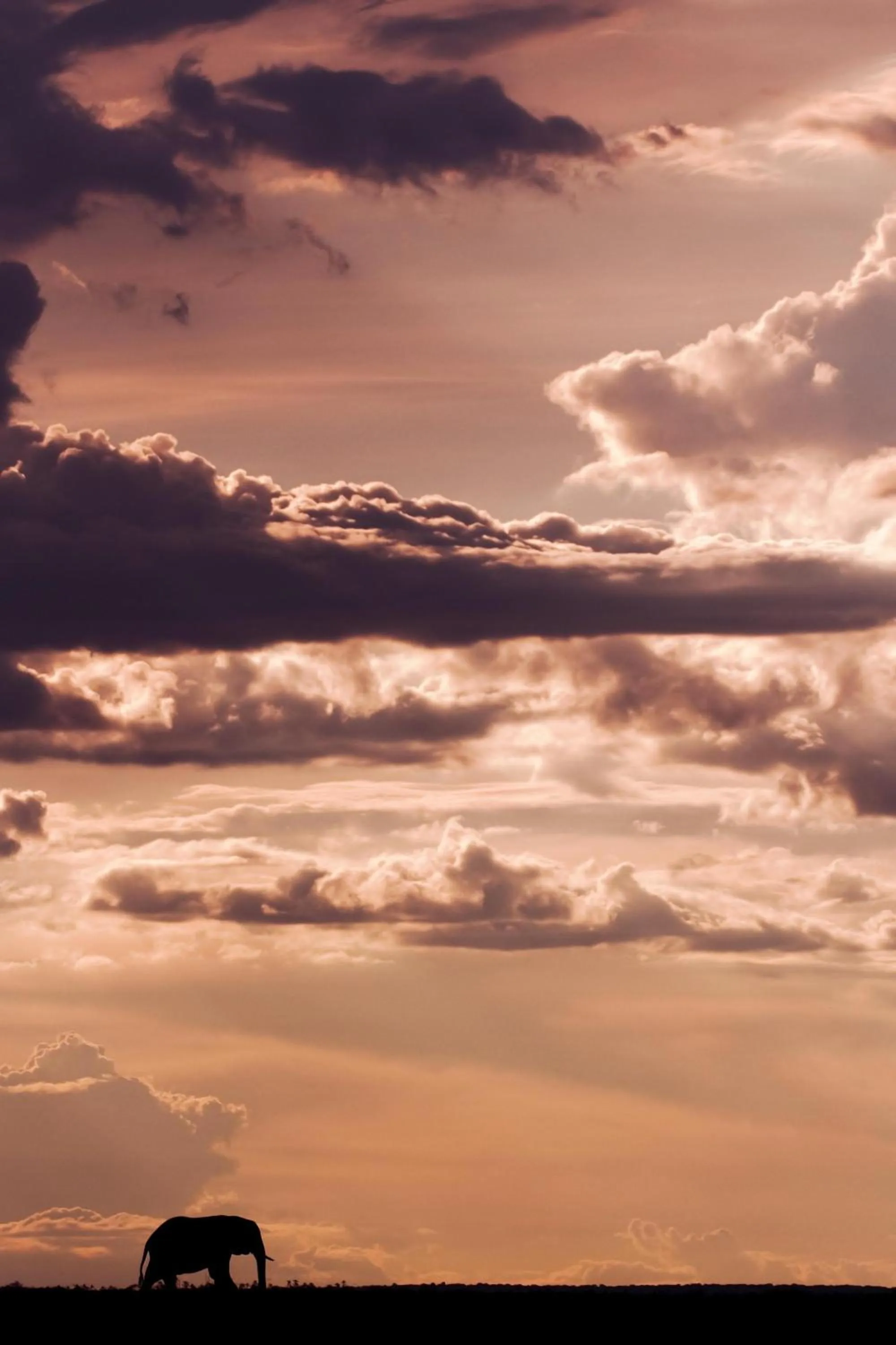 Natural landscape in Royal Livingstone Hotel by Anantara