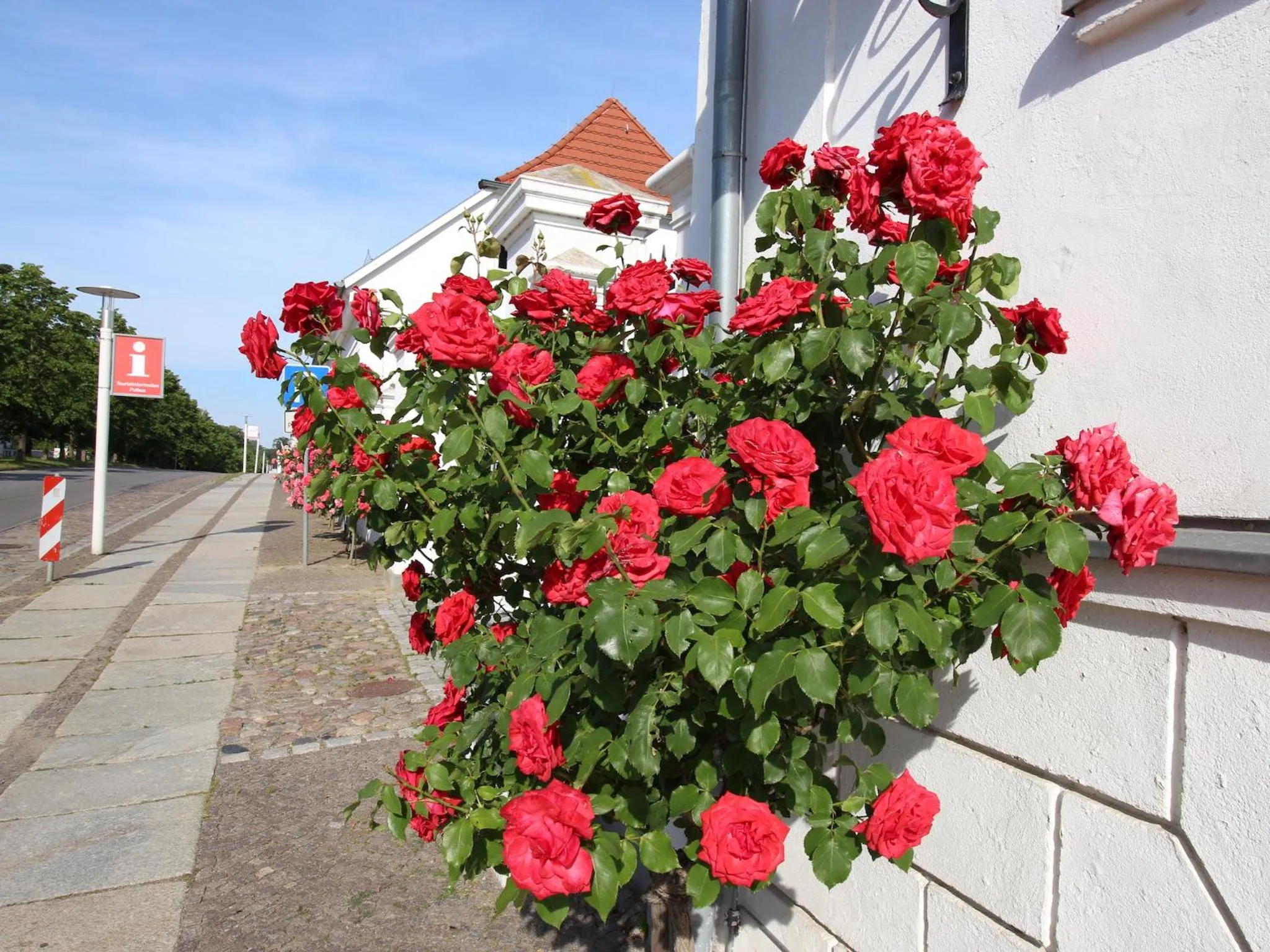 Property building in Parkhotel Putbus Superior International