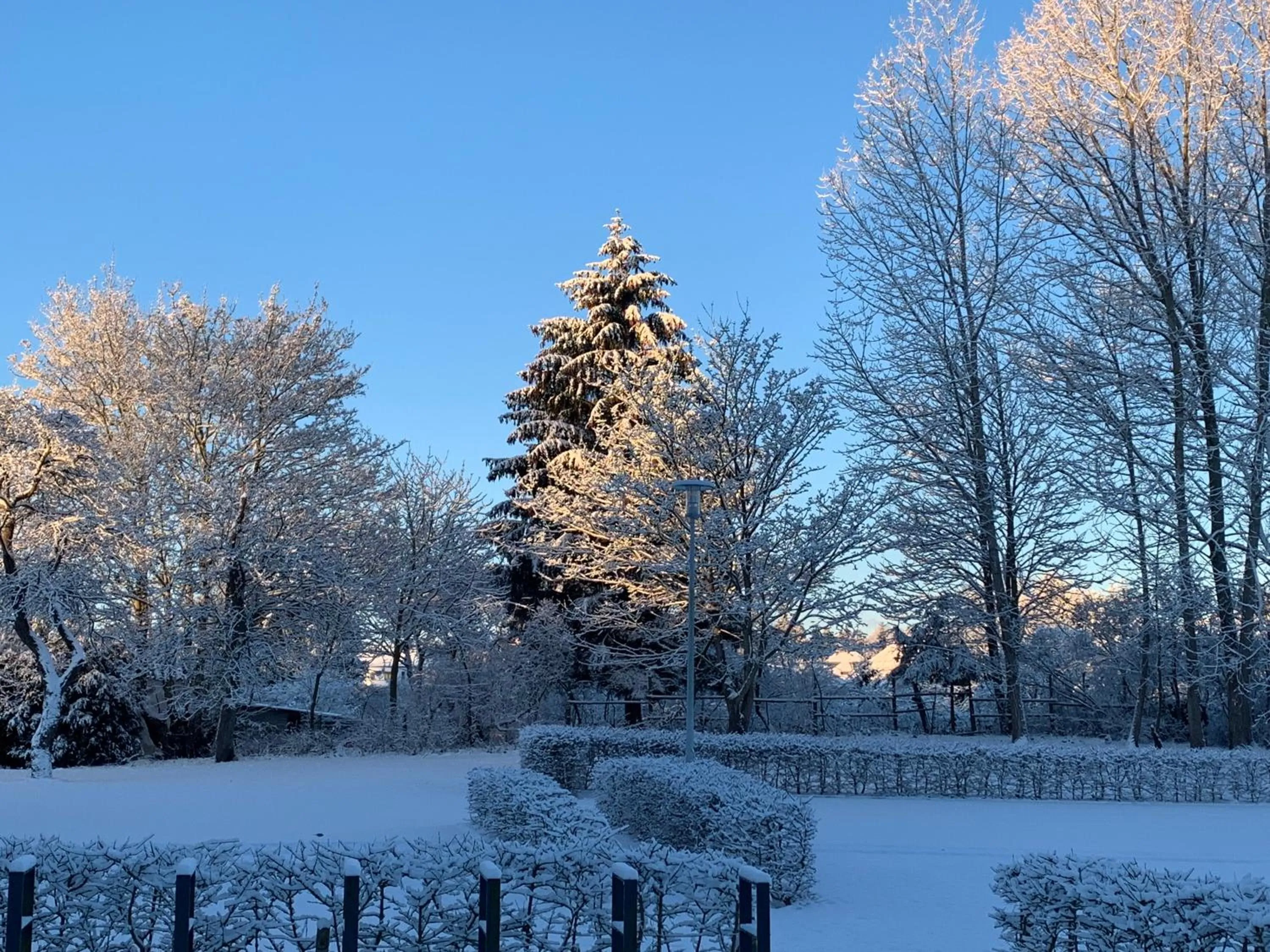 View (from property/room) in Parkhotel Putbus Superior International