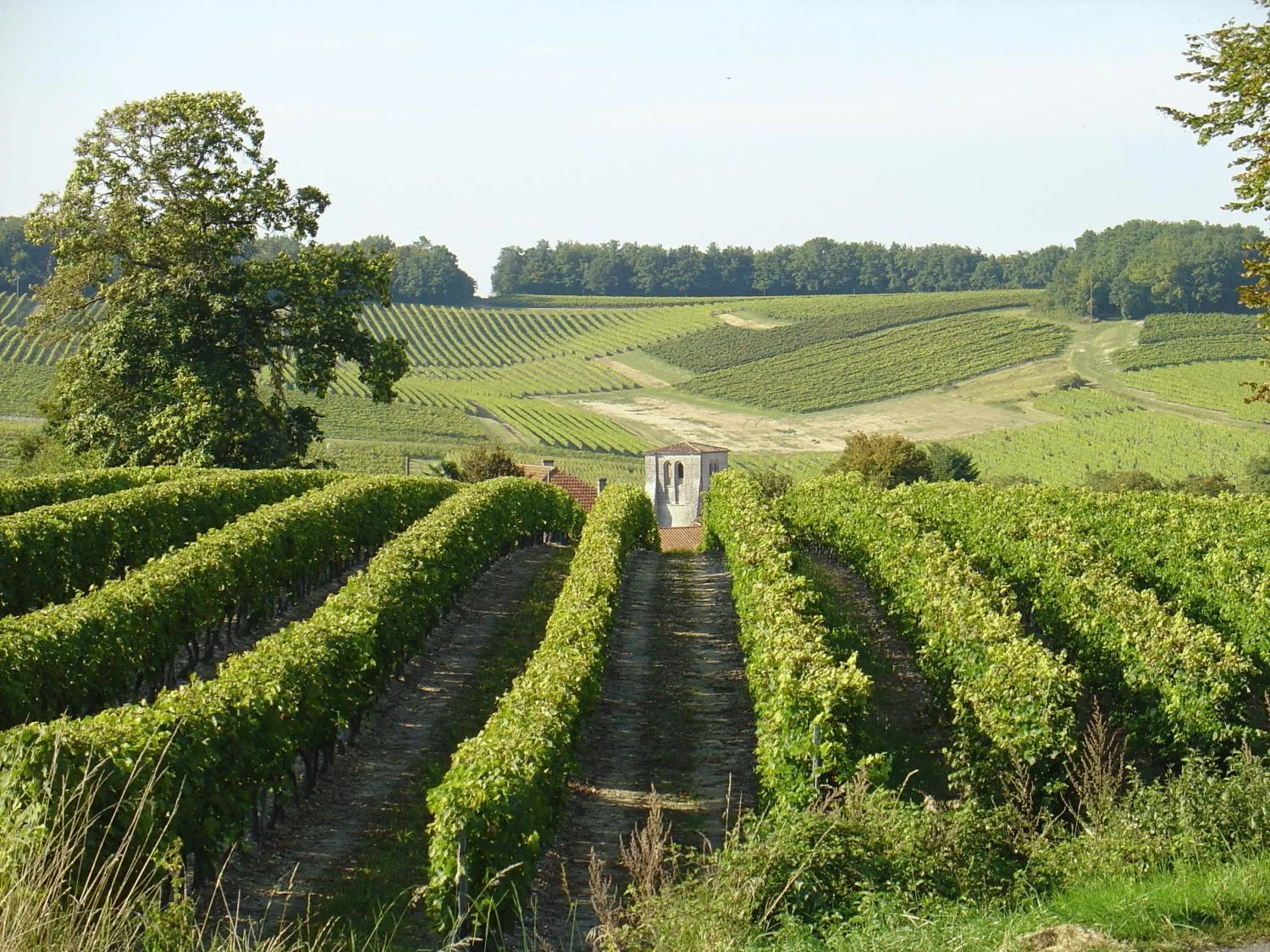 Off site in Le Relais de Saint-Preuil, The Originals Relais Vignes du Cognac