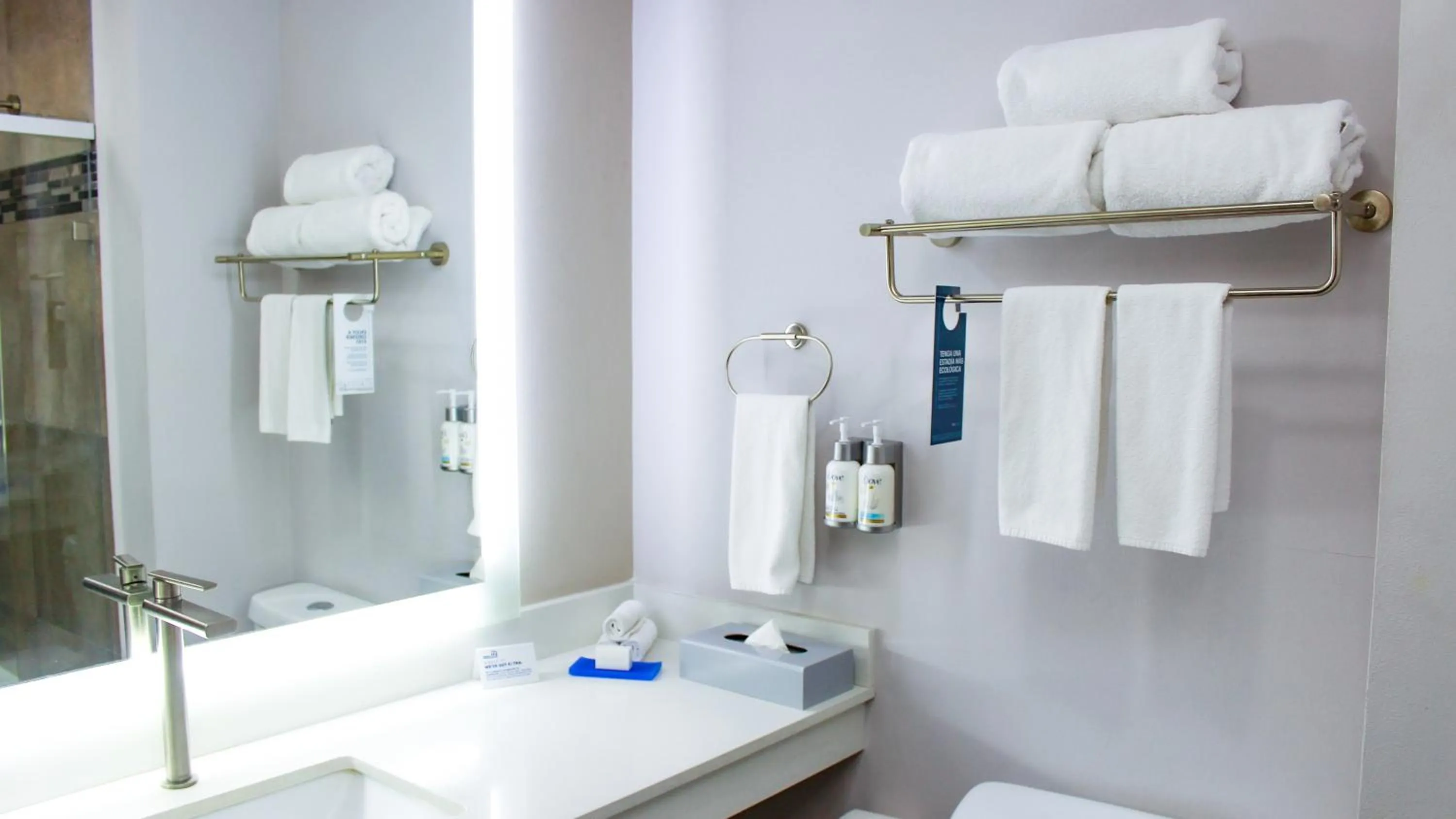 Bathroom in Holiday Inn Express Guaymas by IHG