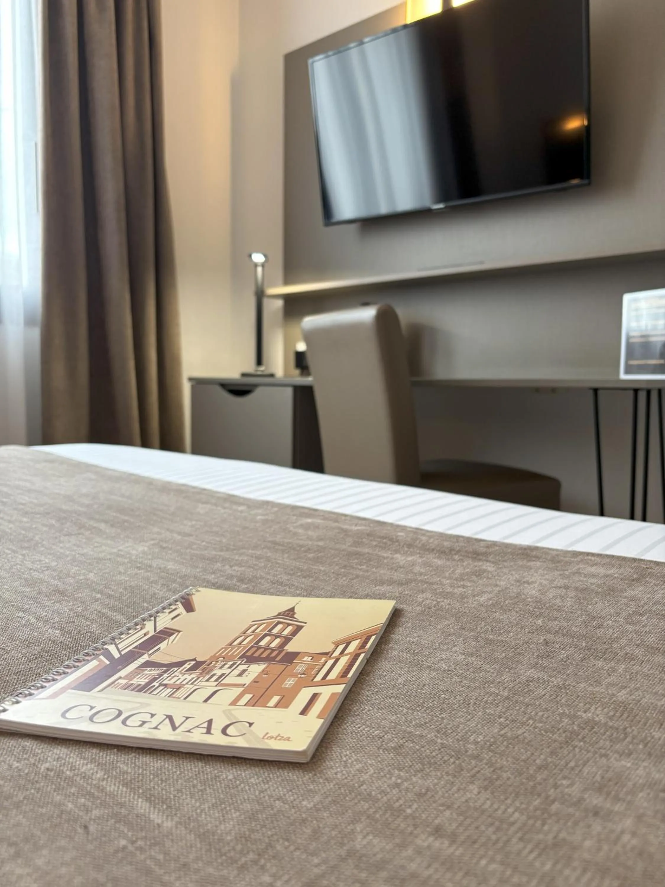 TV and multimedia in Hôtel Le Valois, Cognac Centre