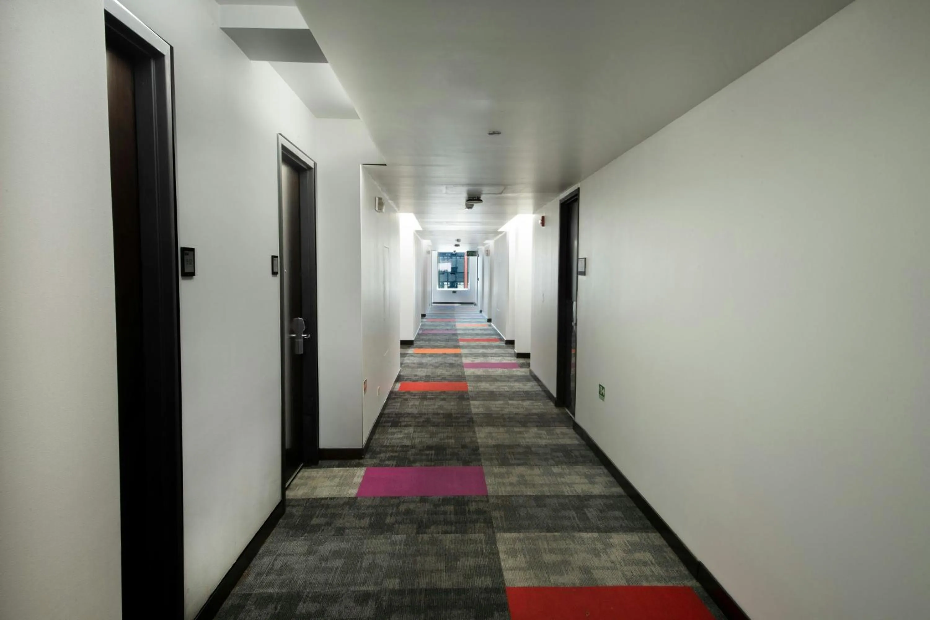 View (from property/room) in D Sabana Hotel San José