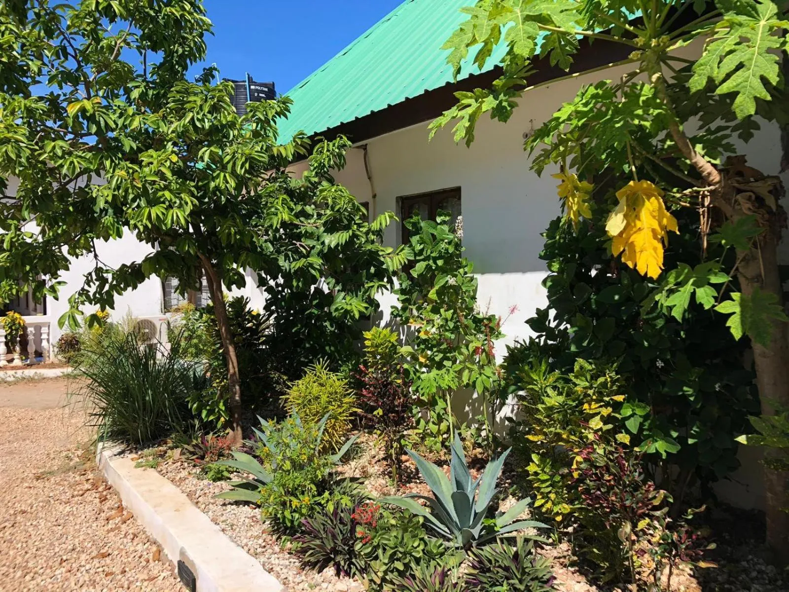 Facade/entrance in Nungwi Getaway