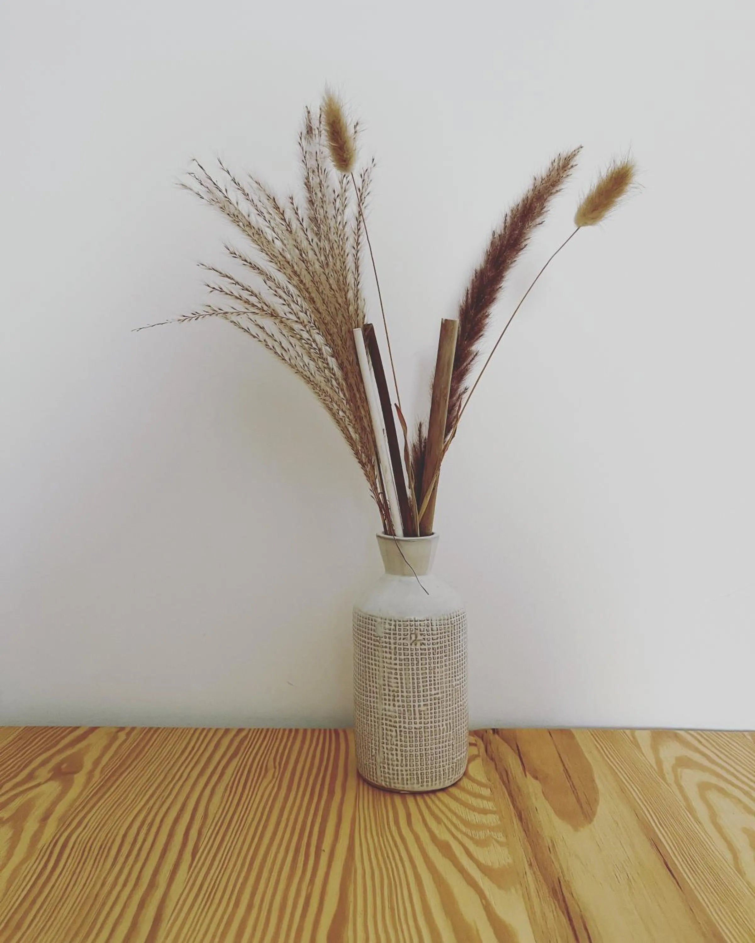 Property building in Donna Nina