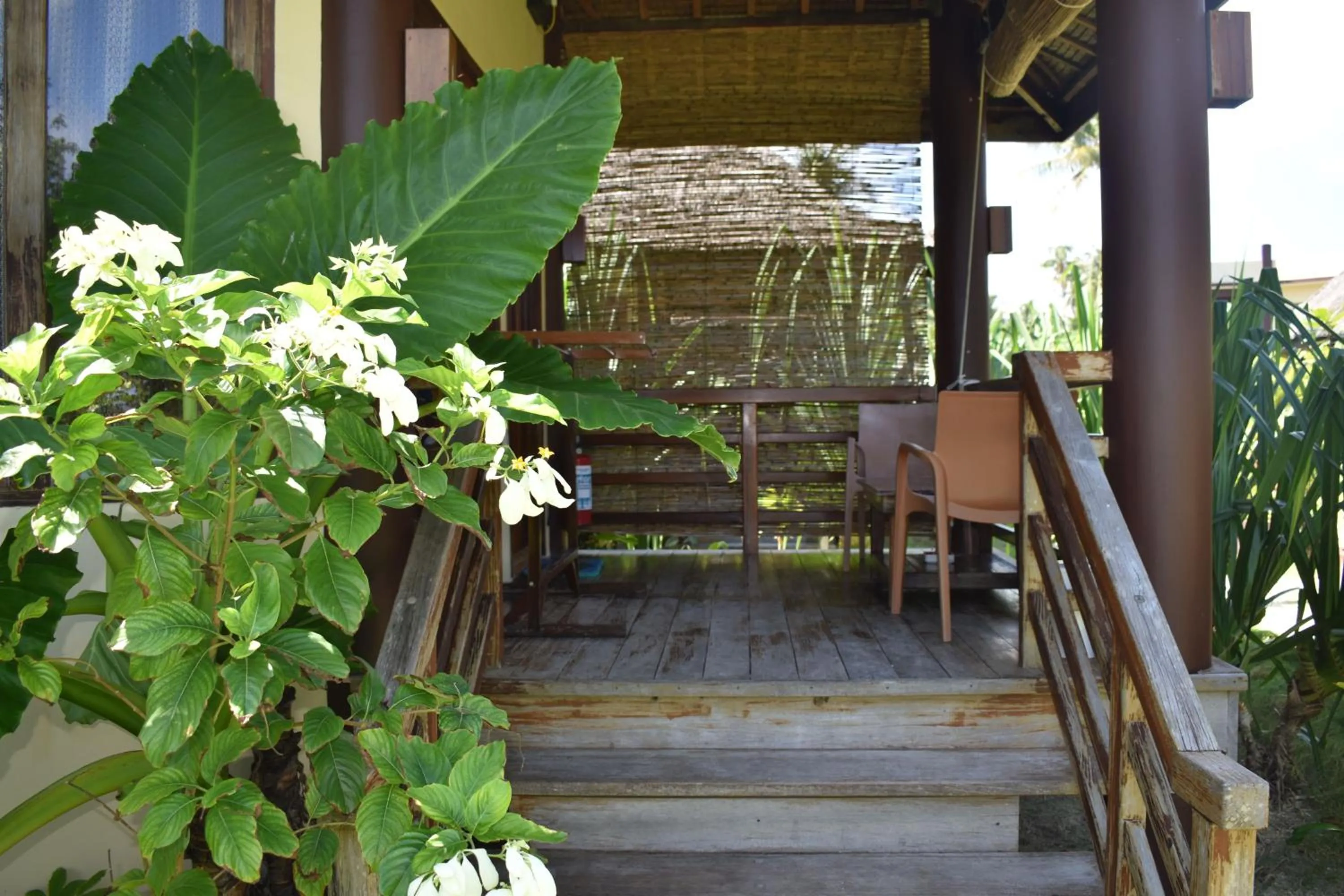 Balcony/Terrace in Jonas and Twins Resort