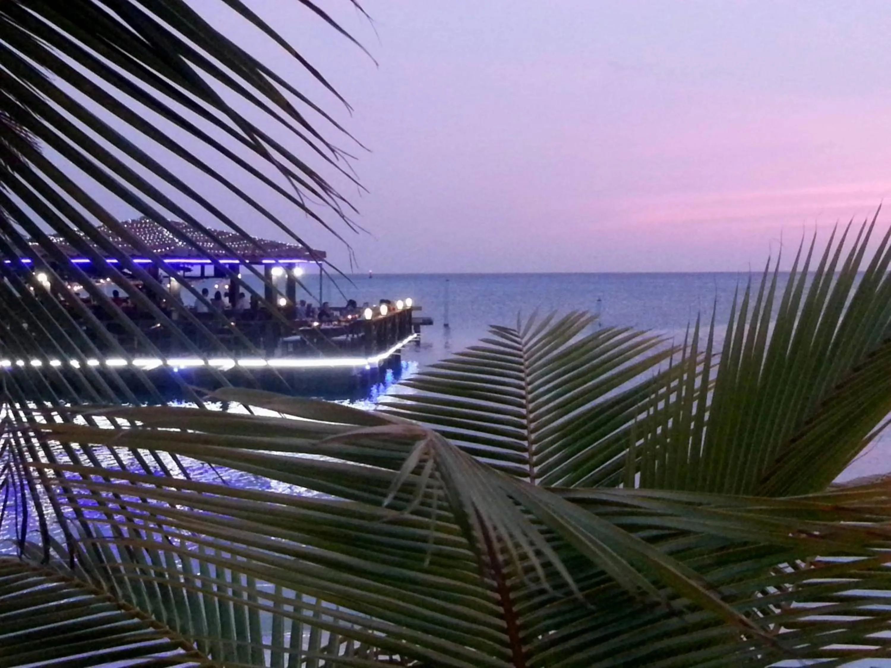 Restaurant/places to eat in Aruba Surfside Marina