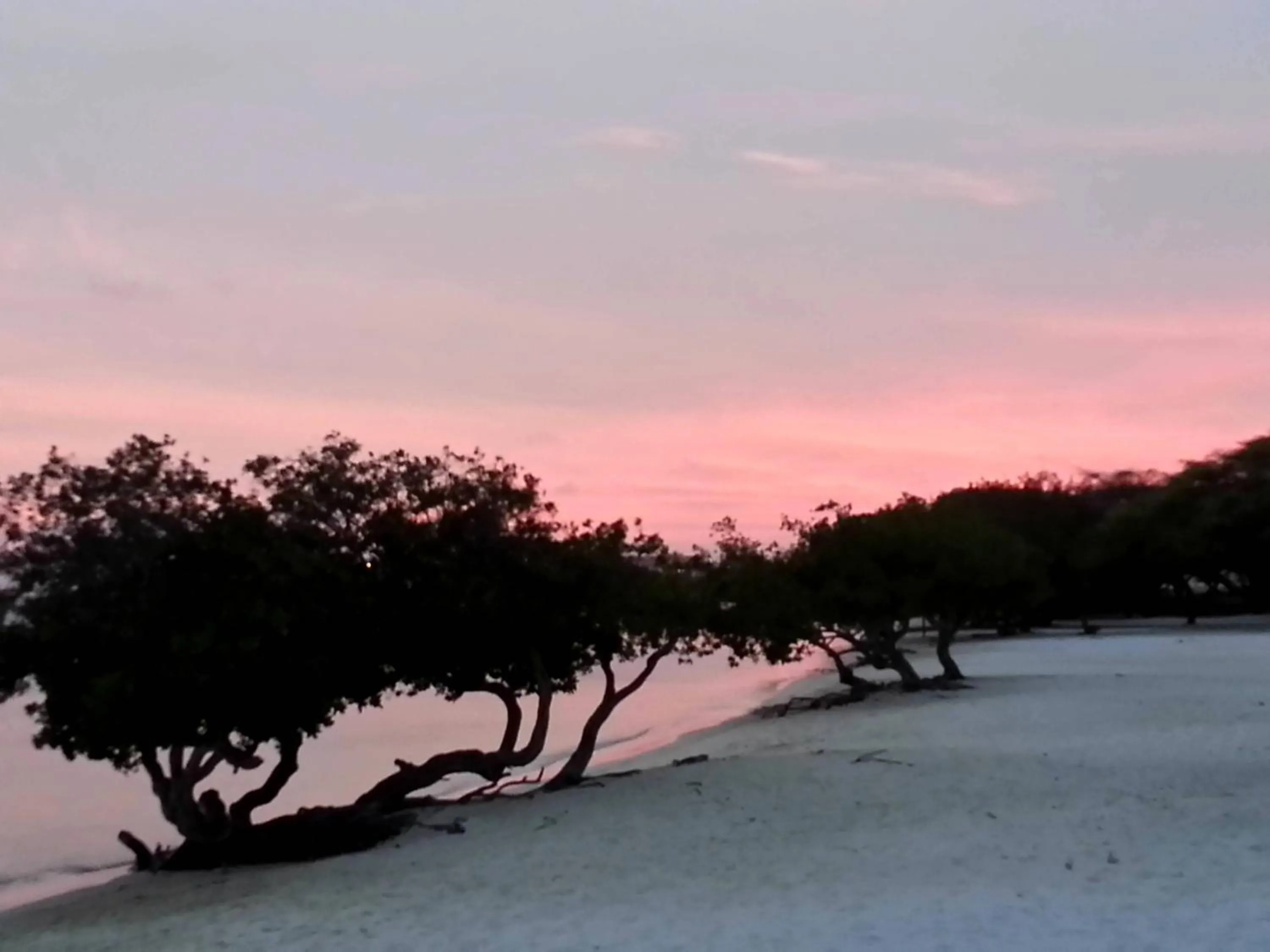 Aruba Surfside Marina